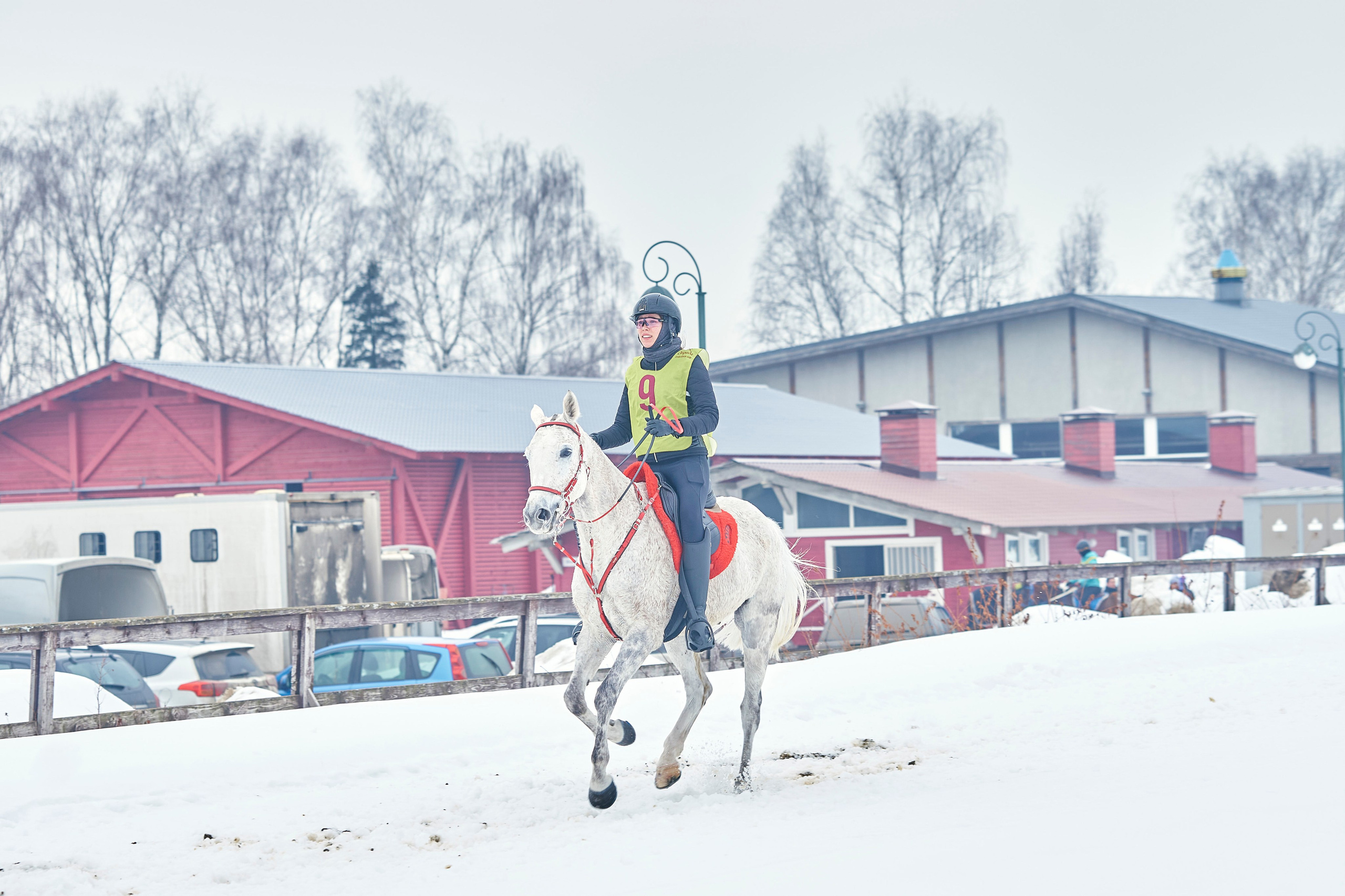 HORSE RACING. Фотограф Наталья Леонова
