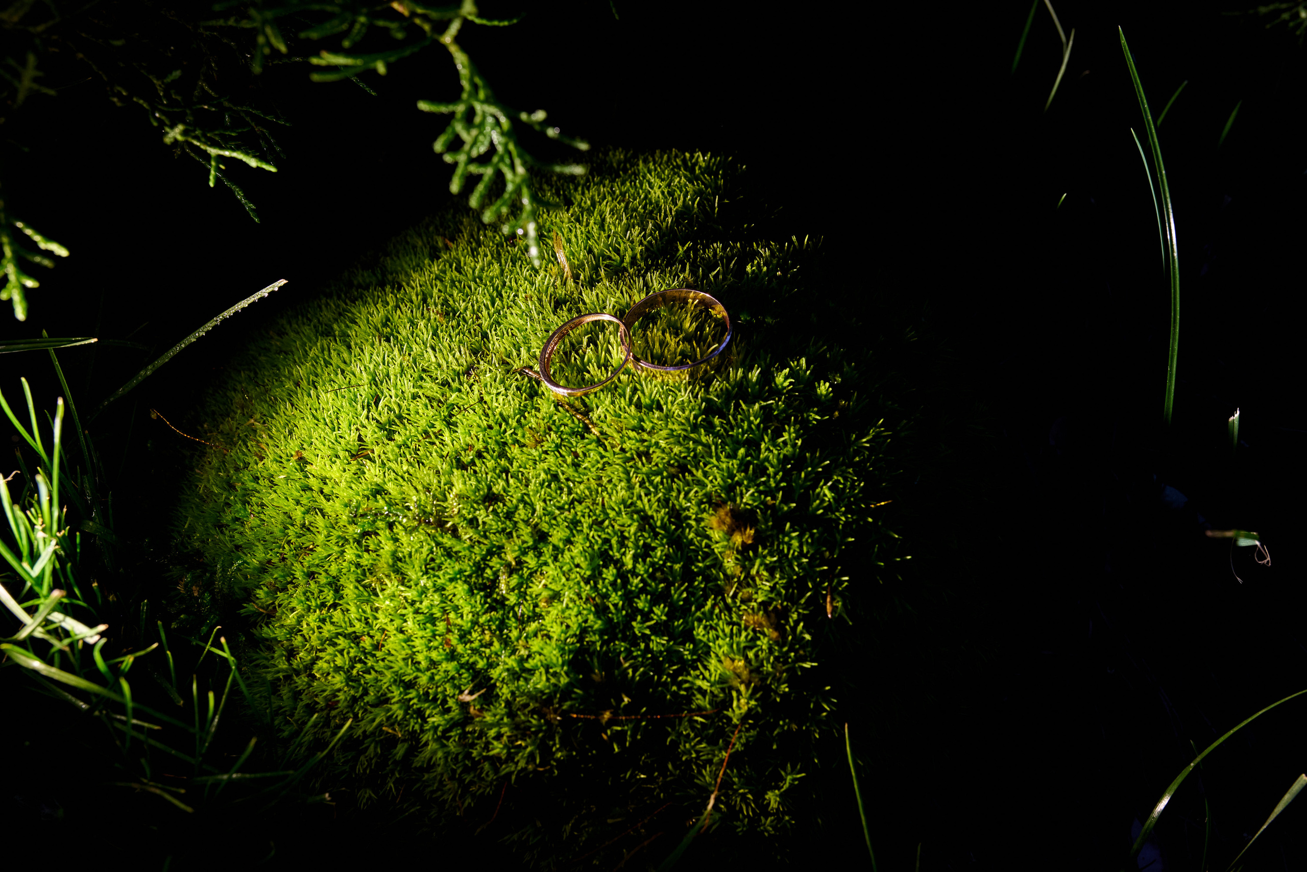 Свадьба Ксюши и Коли. Свадебный фотограф г. Новочеркасск г. Ростов-на-Дону