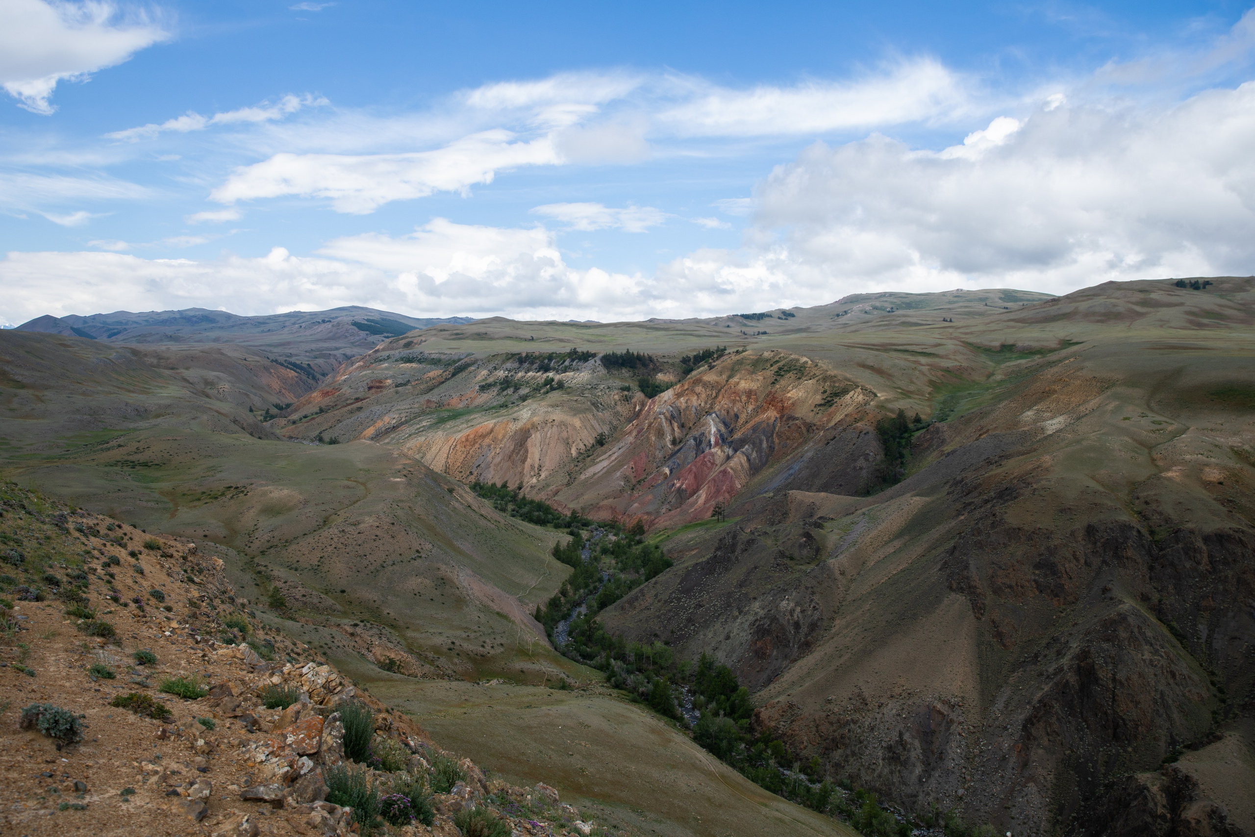 Altai. Yulia Tsyganova