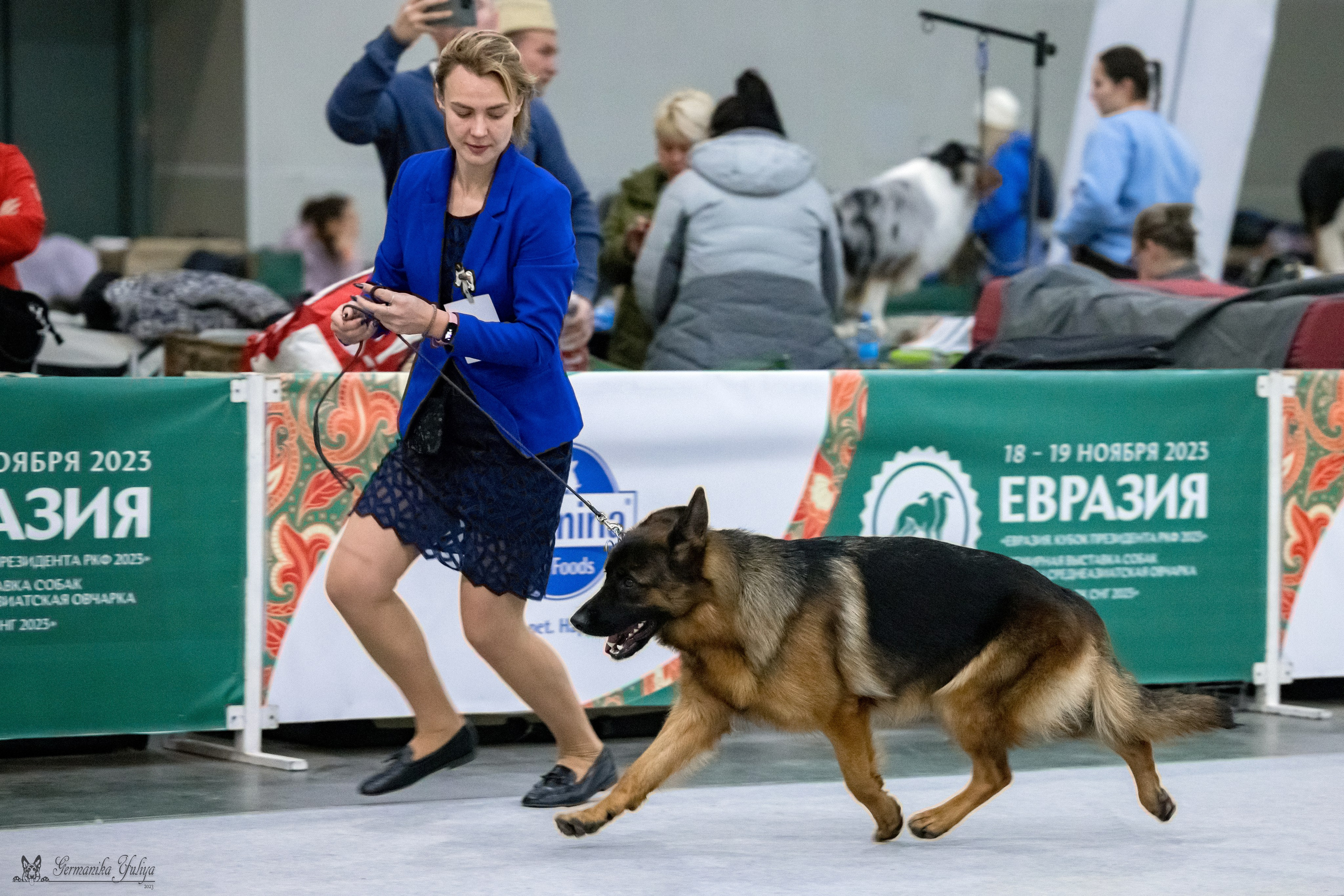 ЕВРАЗИЯ 18-19.11.2023. Фотограф-анималист Юлия Германика