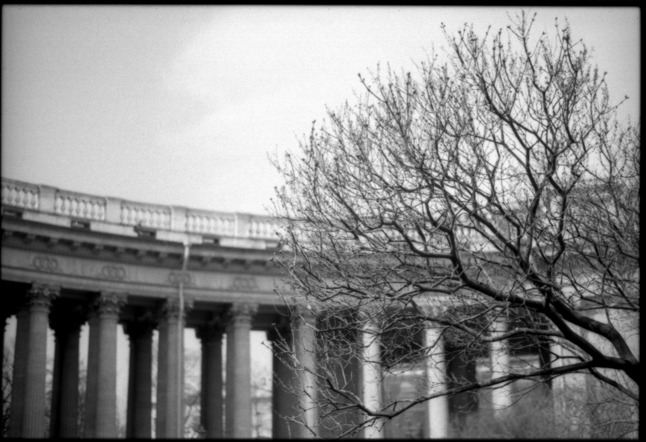 Петербург. Фотограф в Ярославле