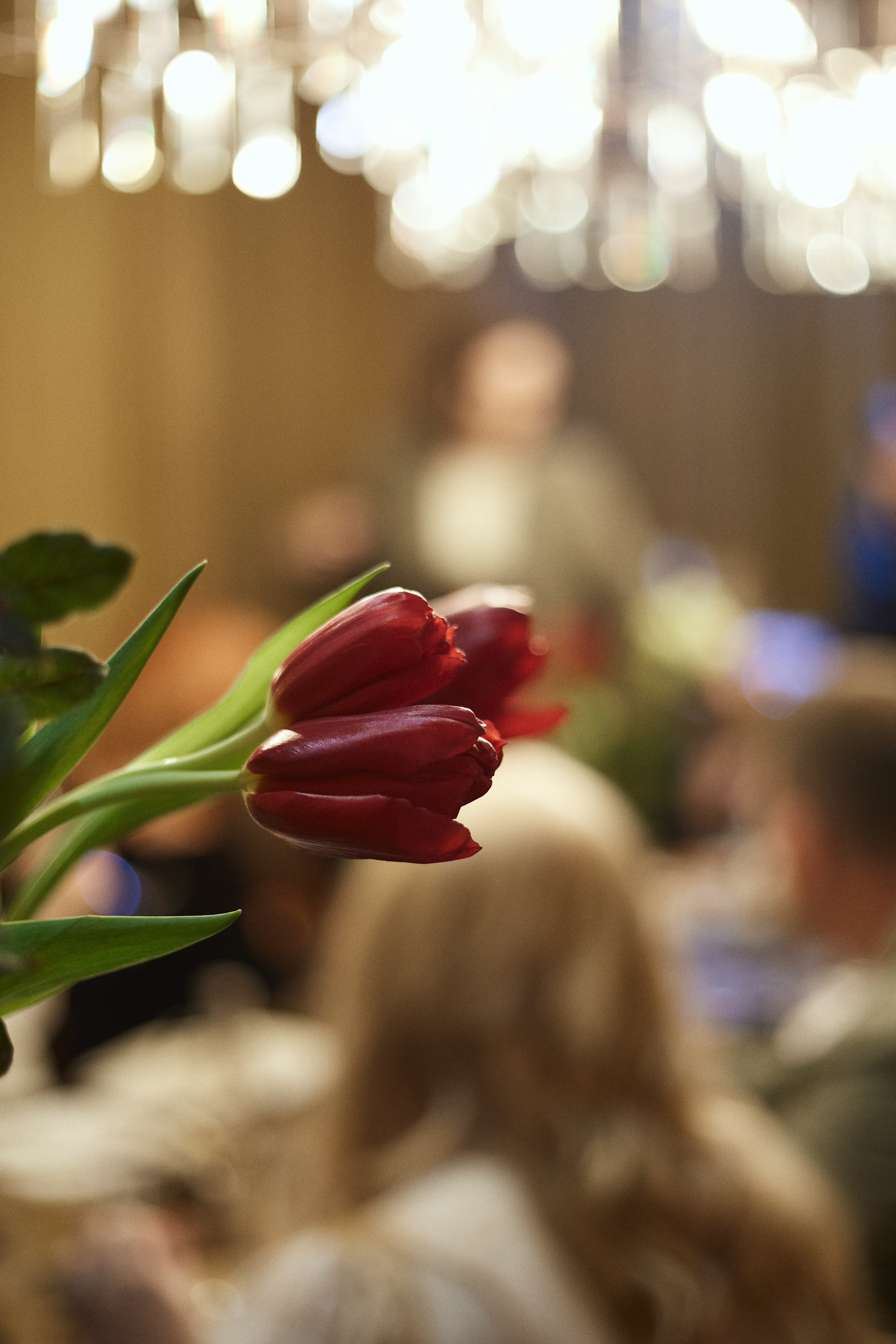 AMUR — 8 МАРТА. СВОИ. ФОТООТЧЕТЫ-СОБЫТИЯ-МЕСТА