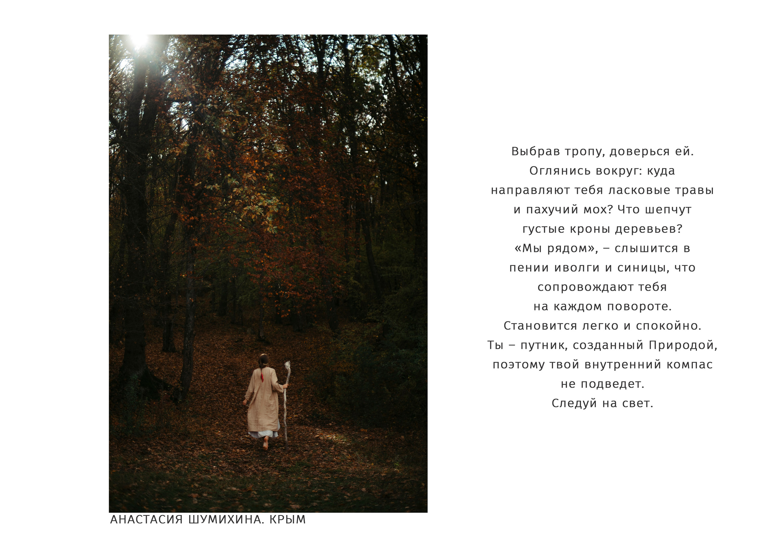 МИР ЖЕНЩИНЫ. Художник, арт — терапевт, преподаватель рисования Шабырова Анна, Москва