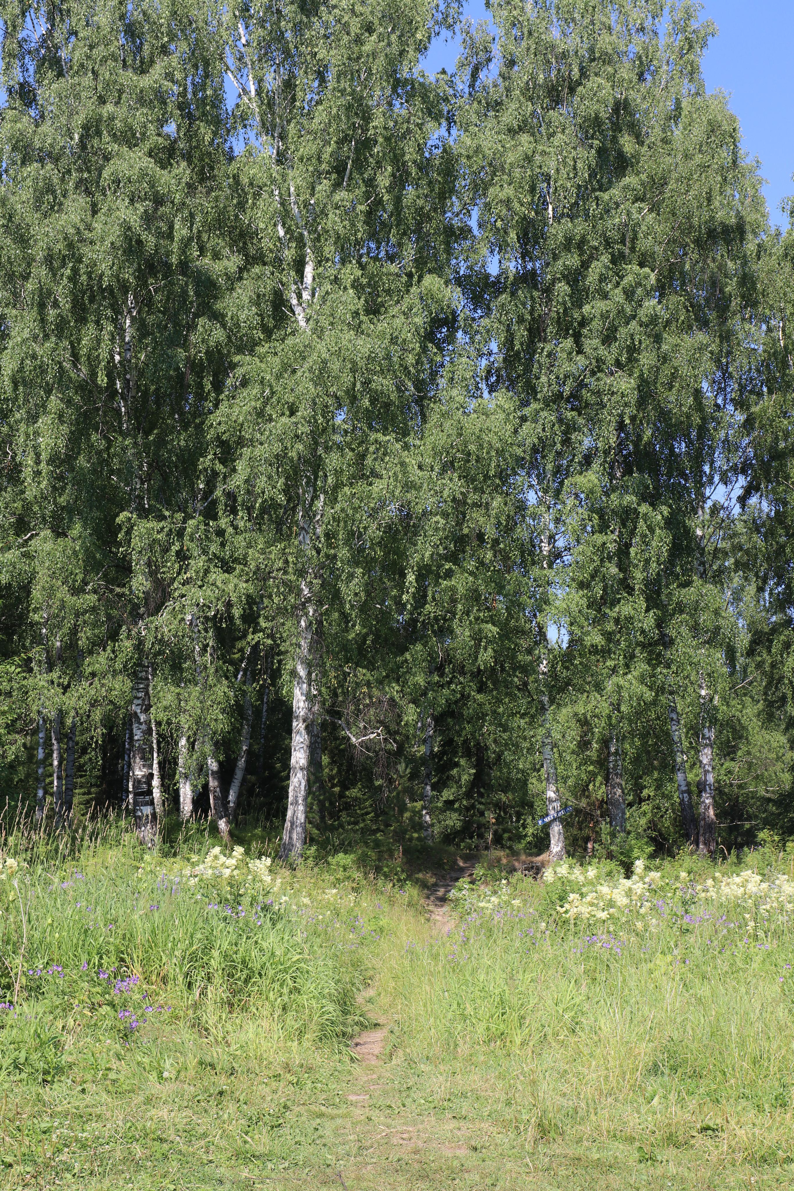 Сплав 2020. Участок от п. Слобода до п. Мартьяново. Путешественник-фотограф из Санкт-Петербурга Татьяна Свистулина