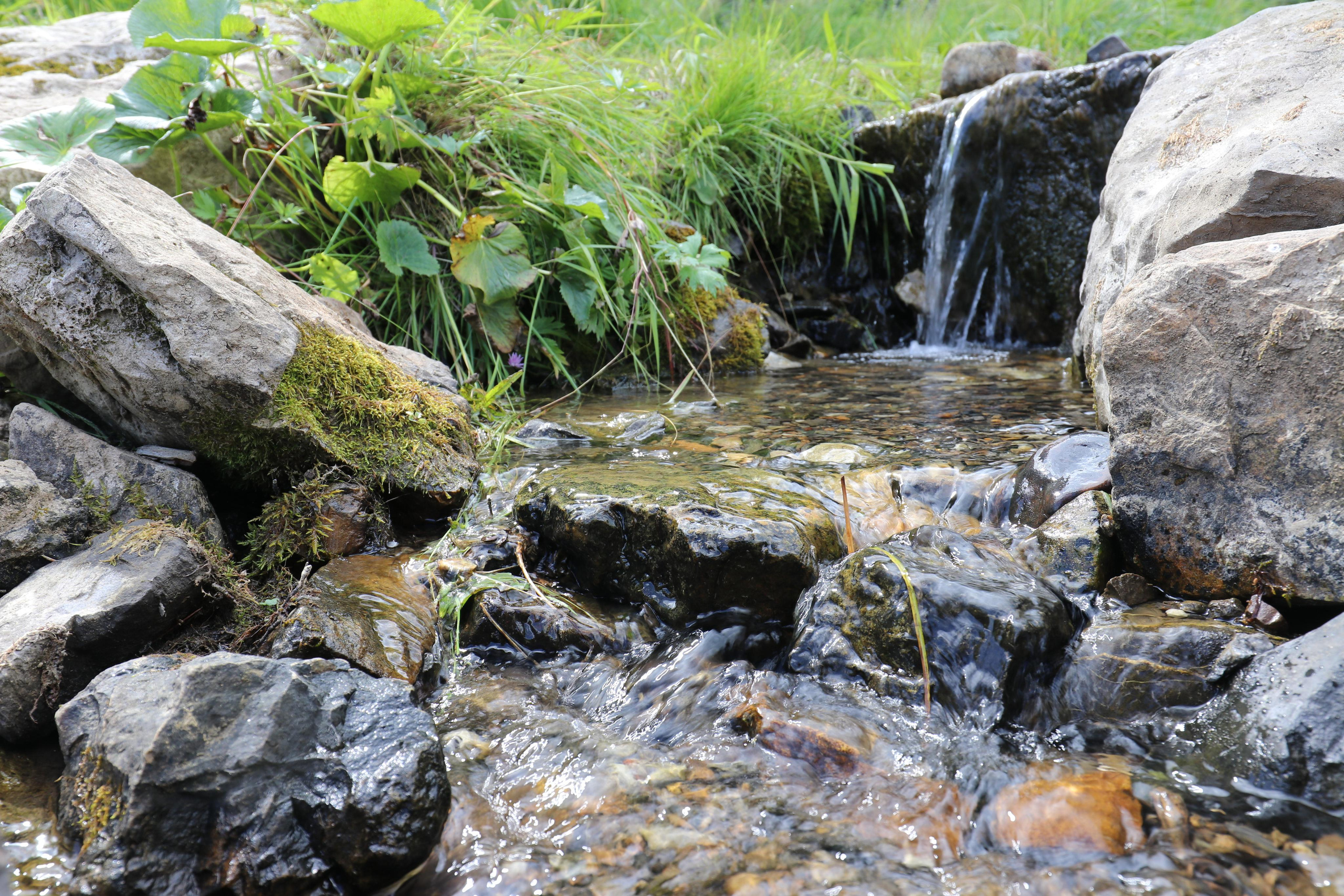 Сплав 2021. Участок от с. Чусовое до с. Ёква. Путешественник-фотограф из Санкт-Петербурга Татьяна Свистулина