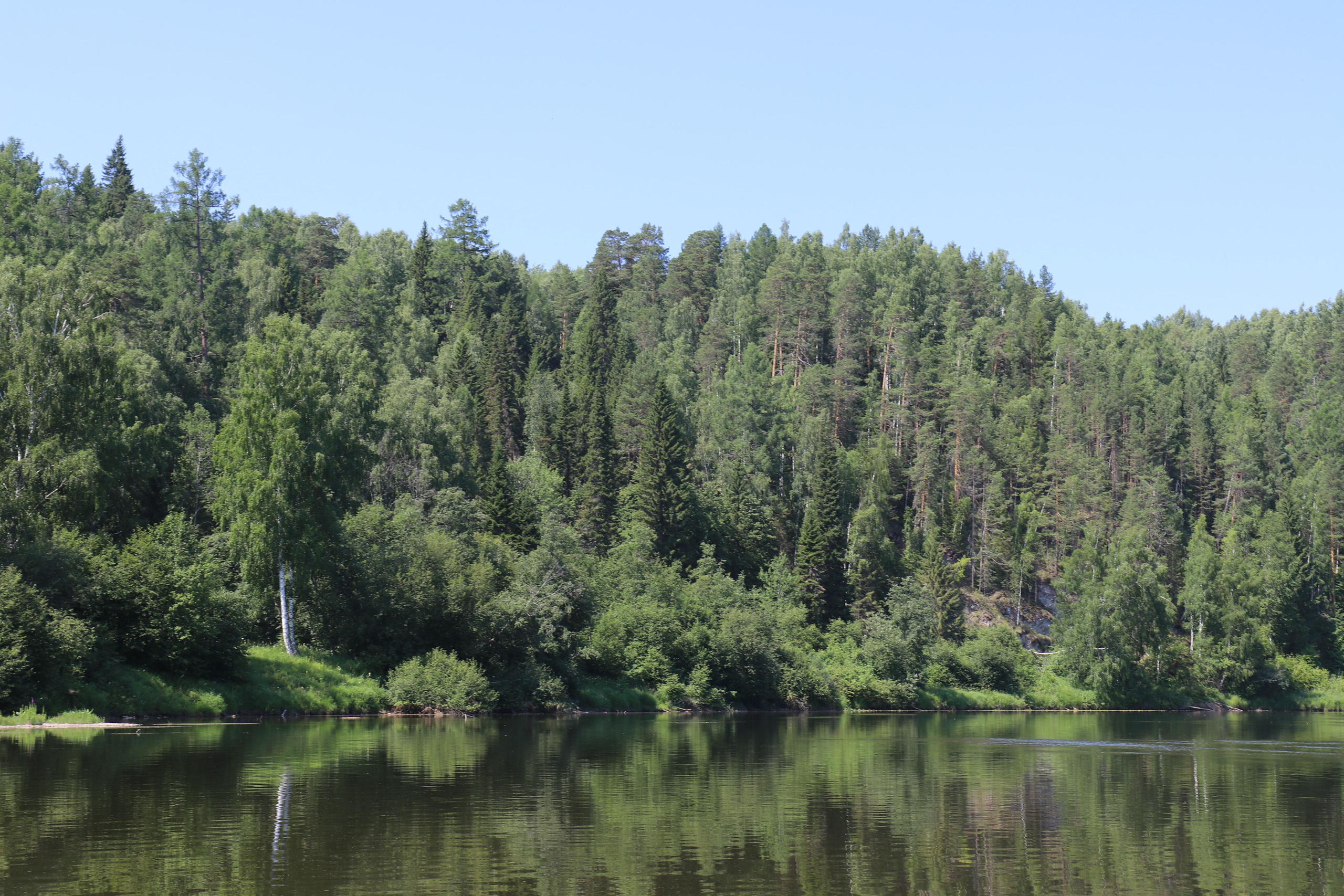 Сплав 2020. Участок от п. Слобода до п. Мартьяново. Путешественник-фотограф из Санкт-Петербурга Татьяна Свистулина