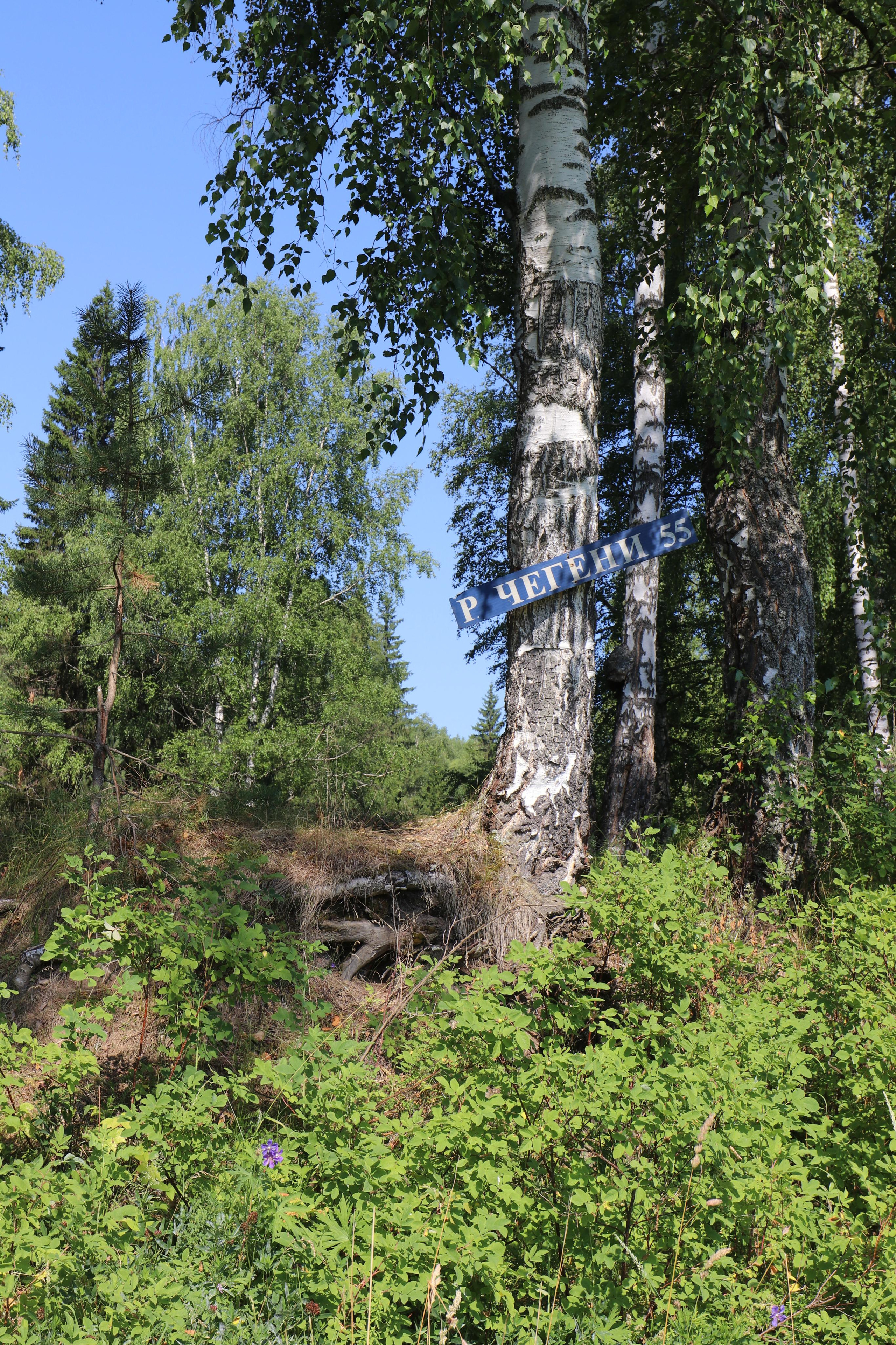 Сплав 2020. Участок от п. Слобода до п. Мартьяново. Путешественник-фотограф из Санкт-Петербурга Татьяна Свистулина