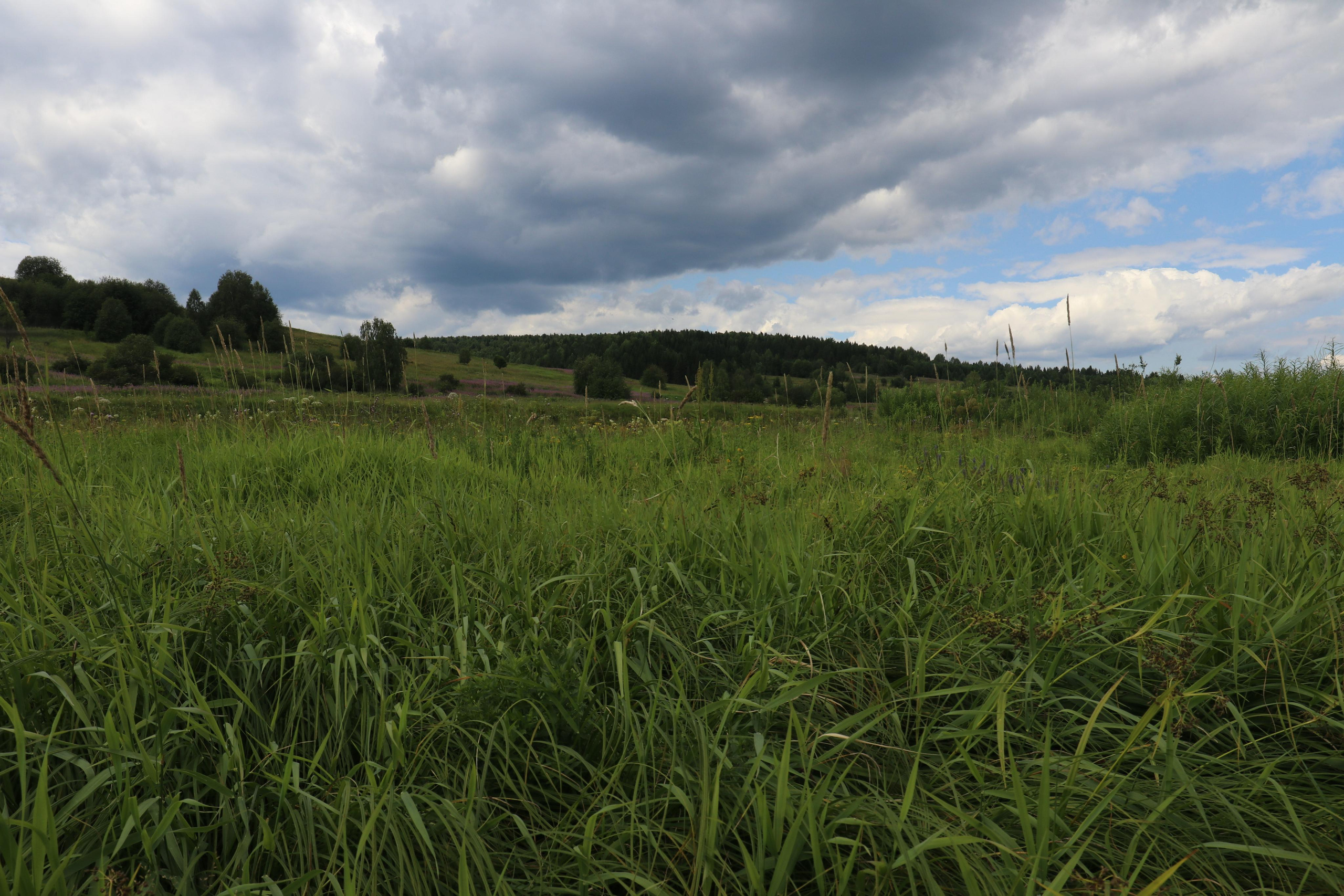 Сплав 2021. Участок от с. Чусовое до с. Ёква. Путешественник-фотограф из Санкт-Петербурга Татьяна Свистулина