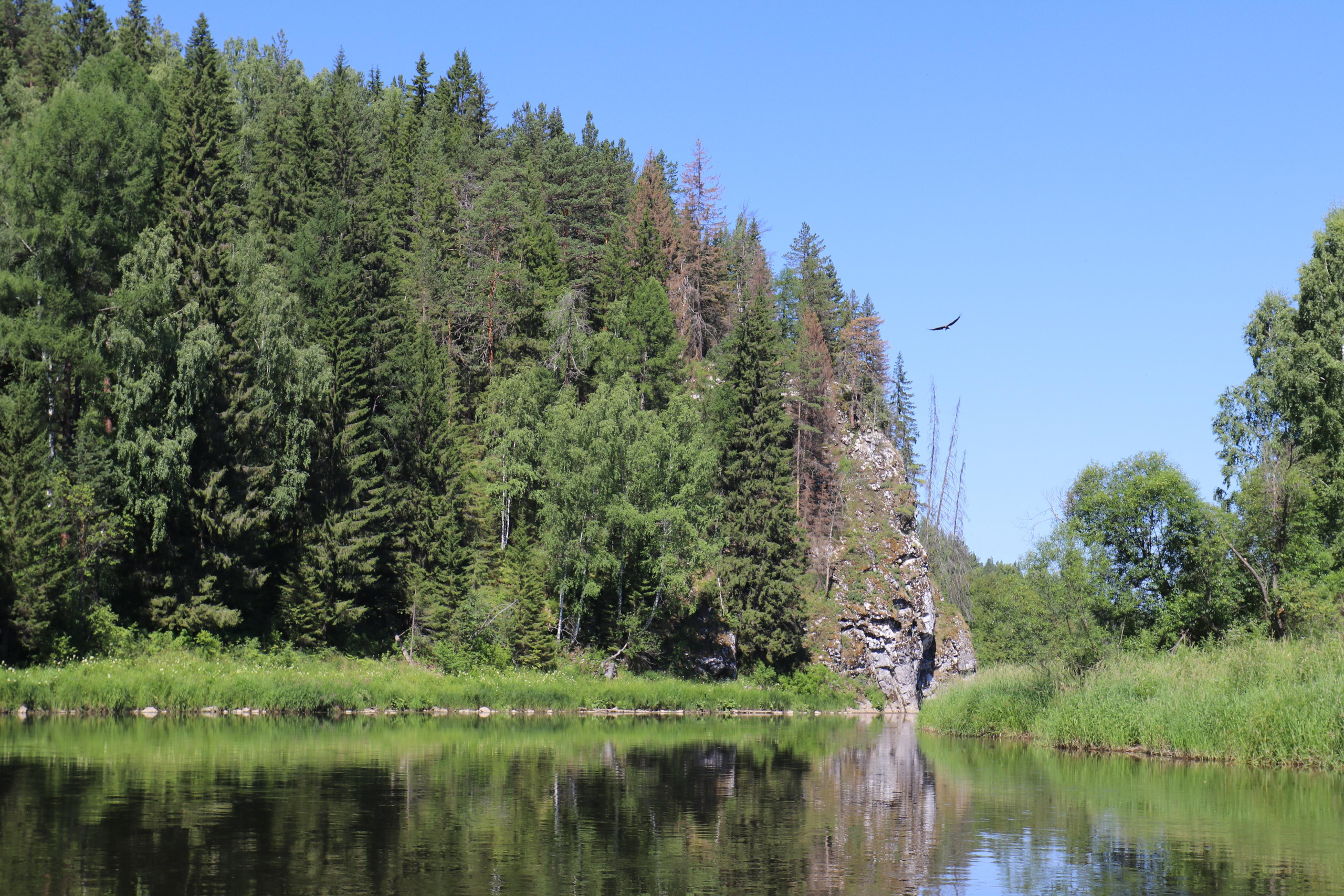 Сплав 2020. Участок от п. Слобода до п. Мартьяново. Путешественник-фотограф из Санкт-Петербурга Татьяна Свистулина