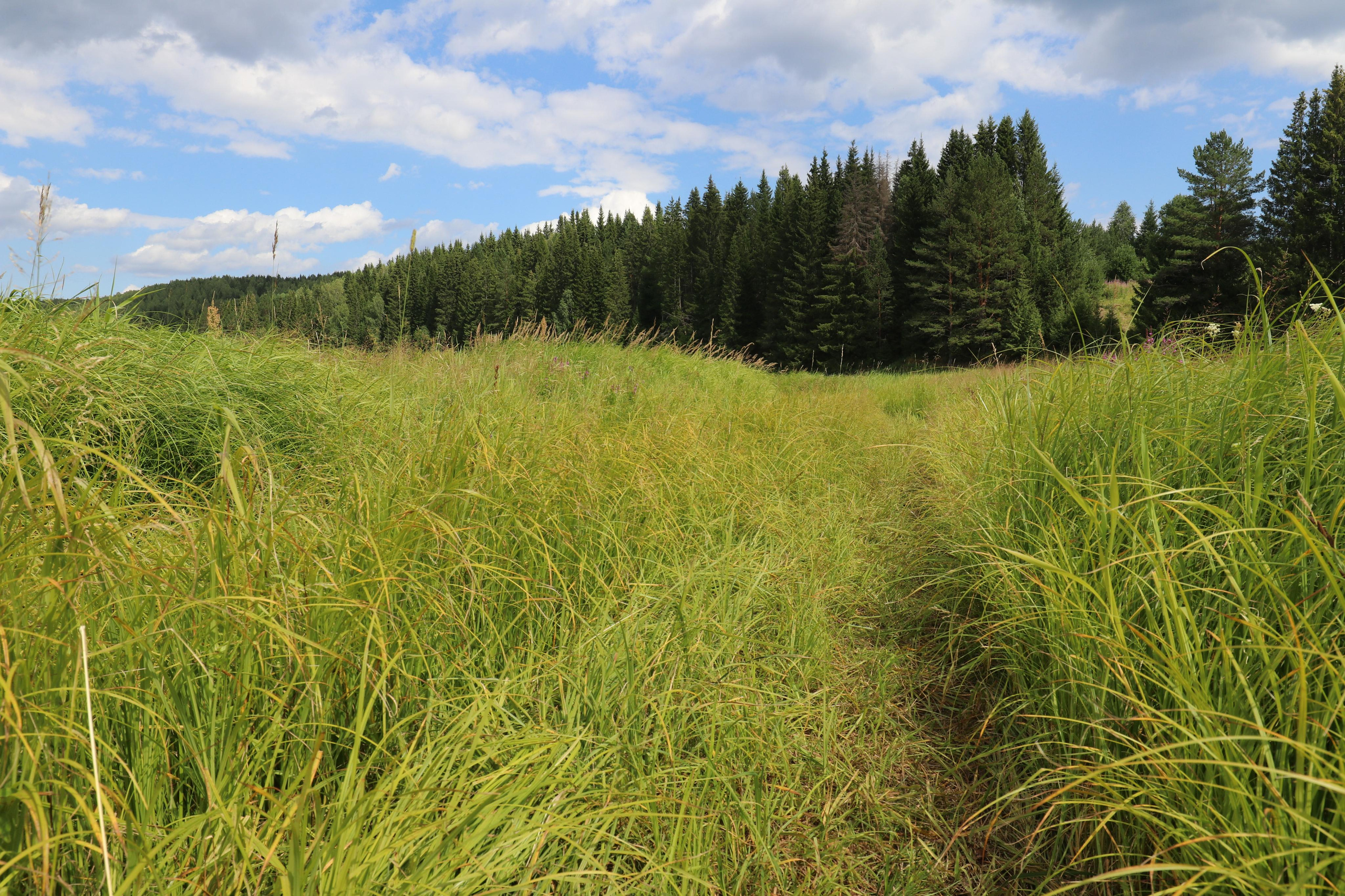Сплав 2021. Участок от с. Чусовое до с. Ёква. Путешественник-фотограф из Санкт-Петербурга Татьяна Свистулина