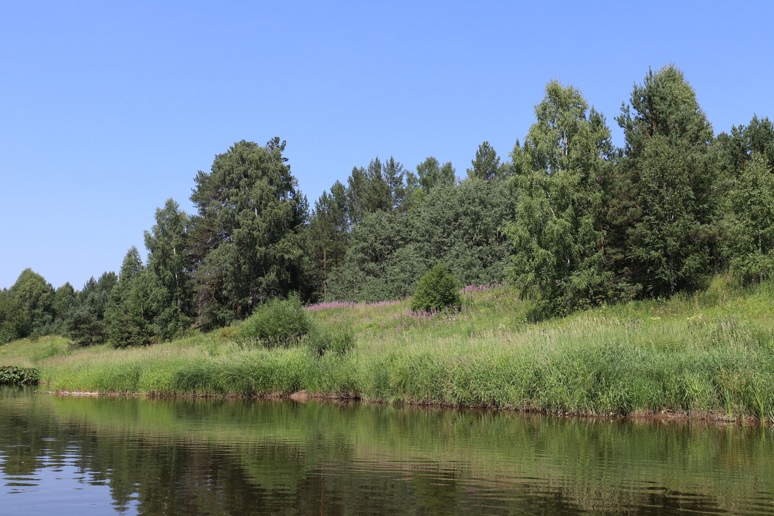 Сплав 2020. Участок от п. Слобода до п. Мартьяново. Путешественник-фотограф из Санкт-Петербурга Татьяна Свистулина