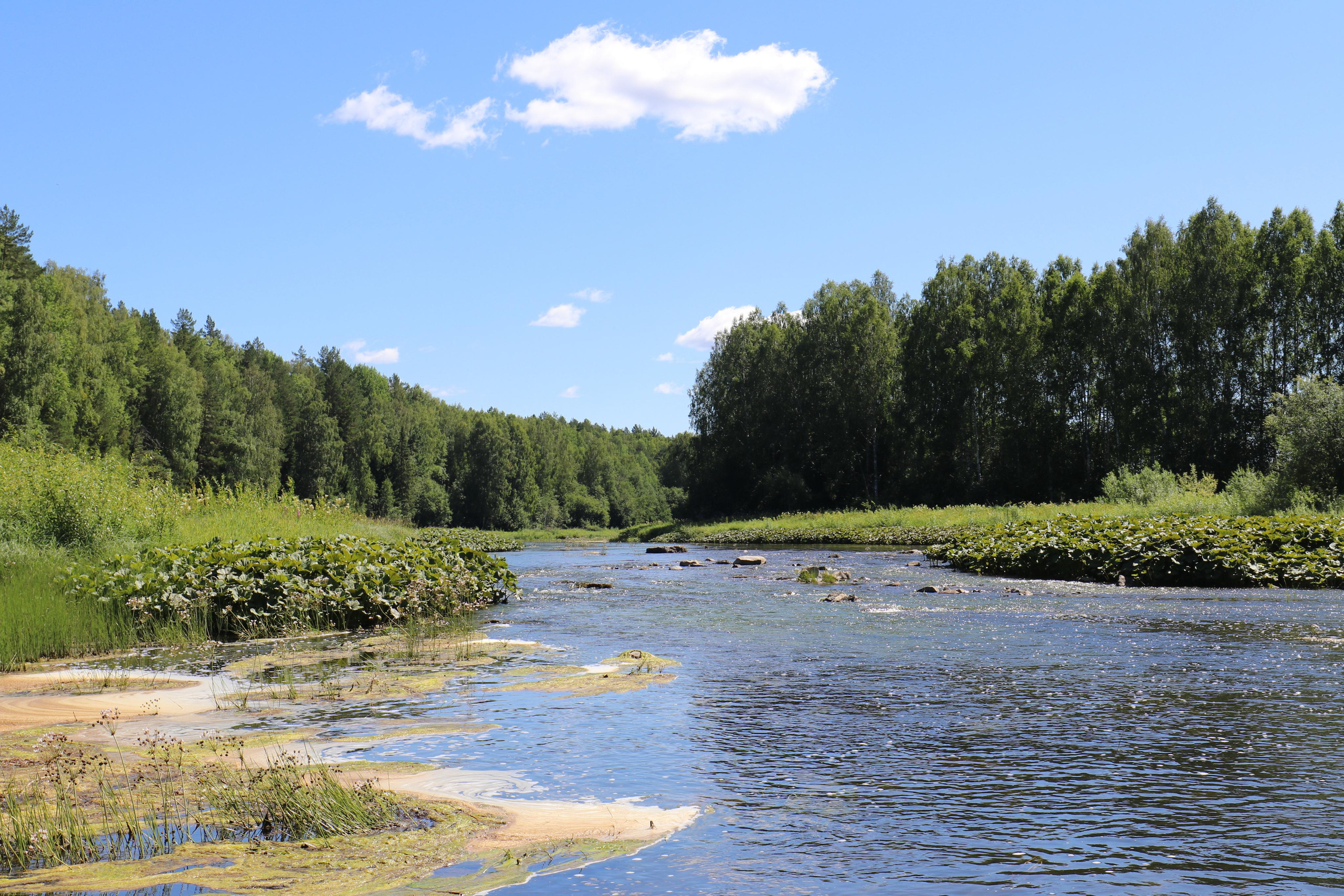 Сплав 2021. Участок от с. Чусовое до с. Ёква. Путешественник-фотограф из Санкт-Петербурга Татьяна Свистулина
