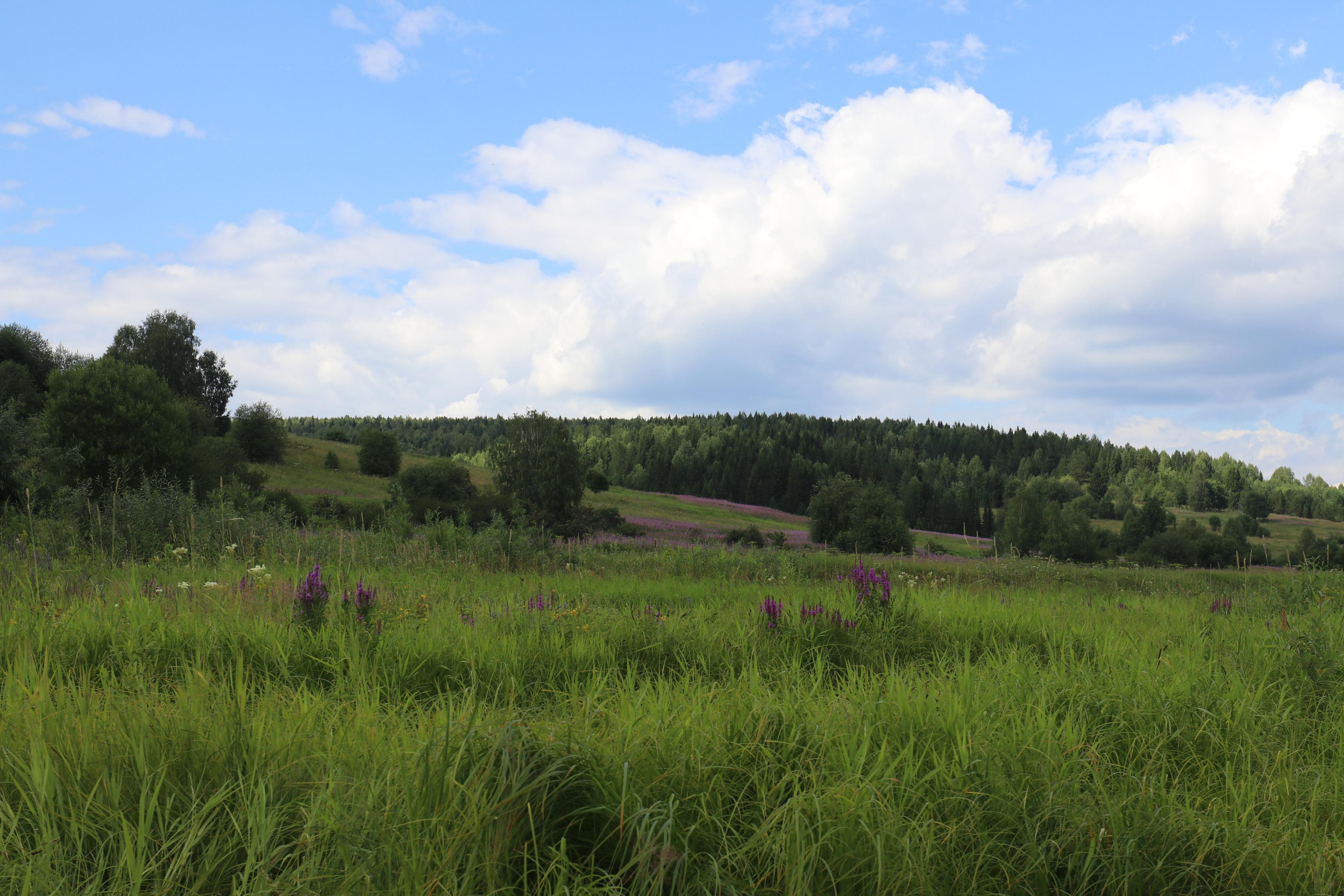 Сплав 2021. Участок от с. Чусовое до с. Ёква. Путешественник-фотограф из Санкт-Петербурга Татьяна Свистулина