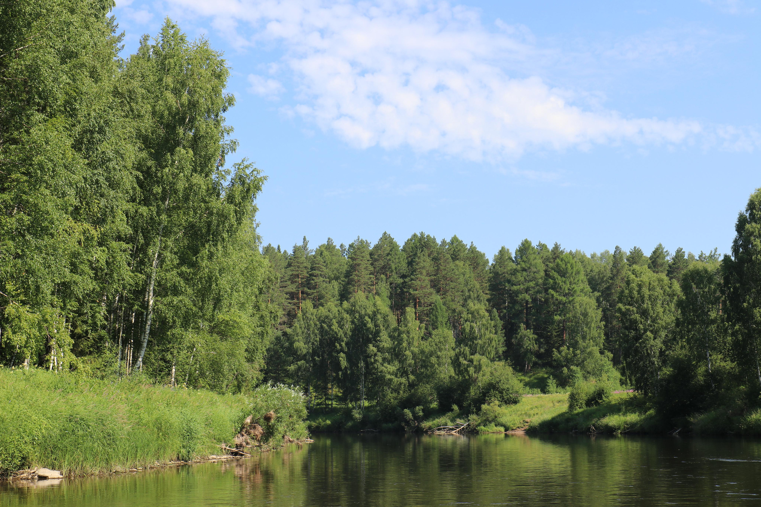 Сплав 2020. Участок от п. Слобода до п. Мартьяново. Путешественник-фотограф из Санкт-Петербурга Татьяна Свистулина