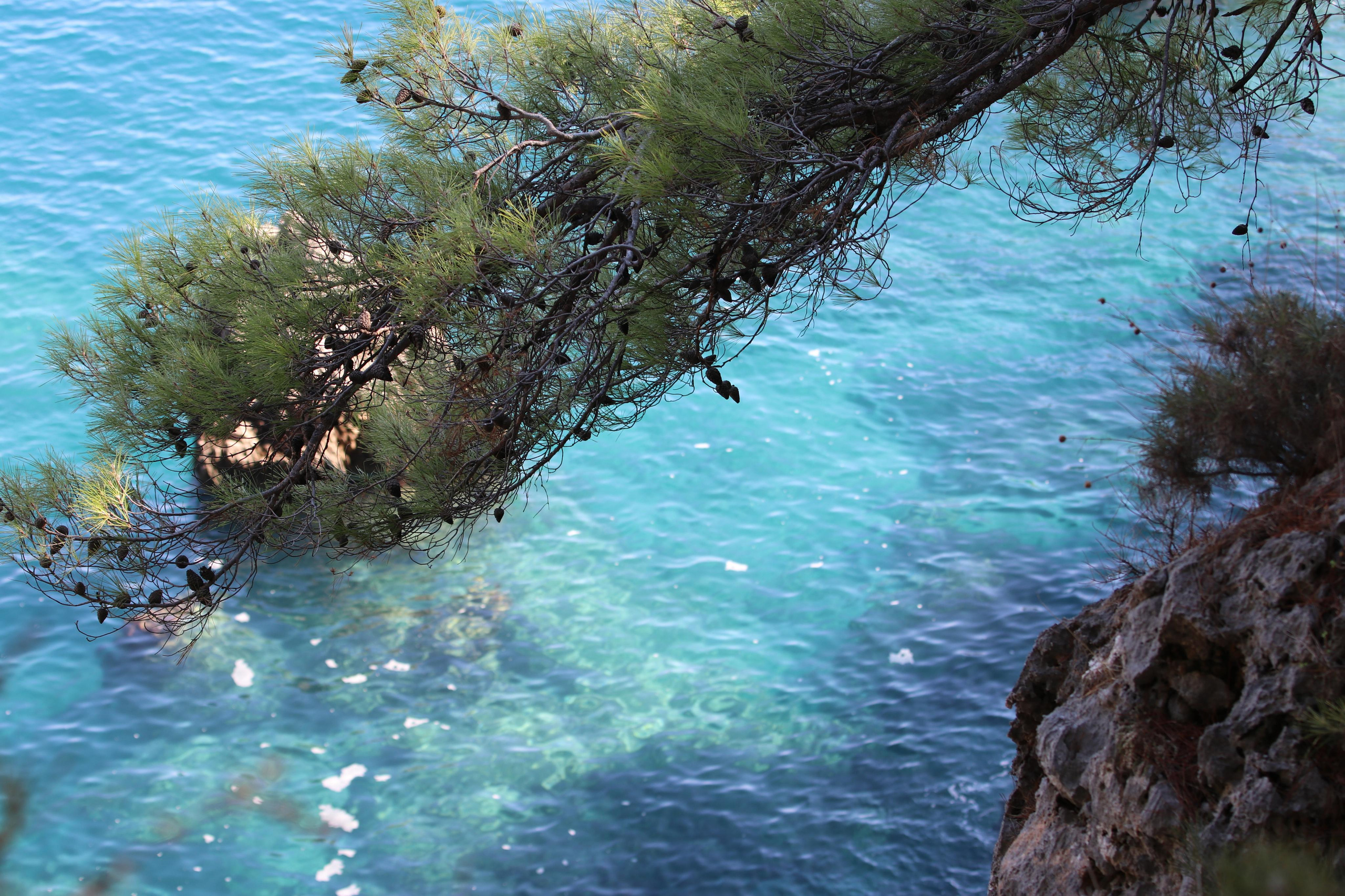 Турция. Путешественник-фотограф из Санкт-Петербурга Татьяна Свистулина