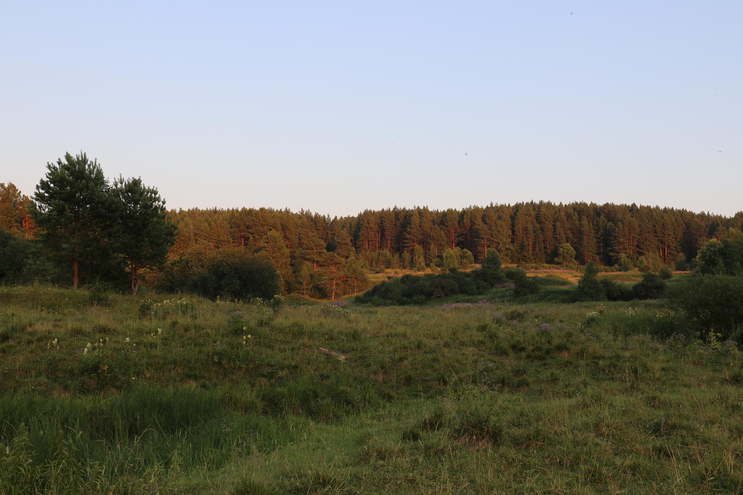 Сплав 2020. Участок от п. Слобода до п. Мартьяново. Путешественник-фотограф из Санкт-Петербурга Татьяна Свистулина