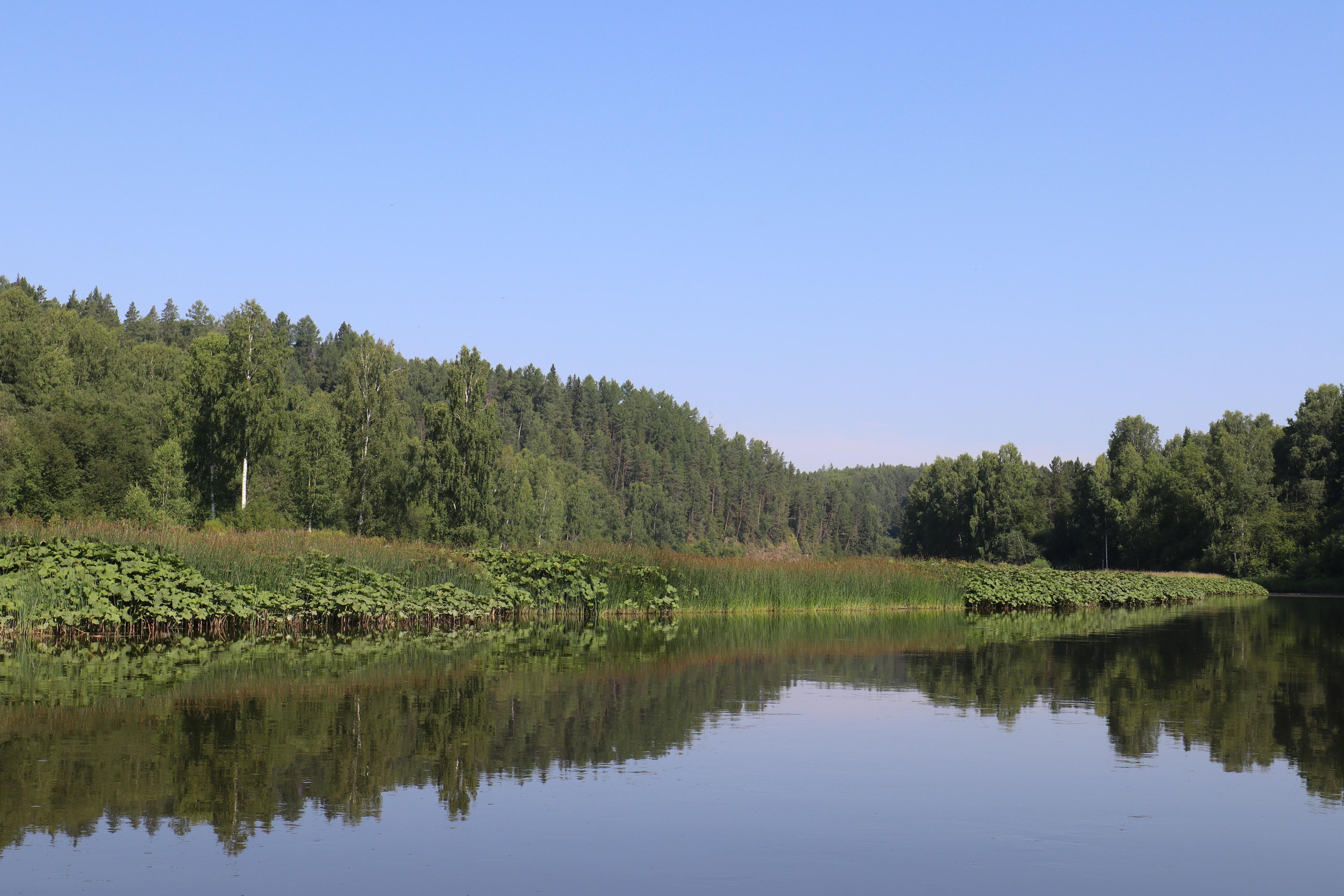 Сплав 2020. Участок от п. Слобода до п. Мартьяново. Путешественник-фотограф из Санкт-Петербурга Татьяна Свистулина