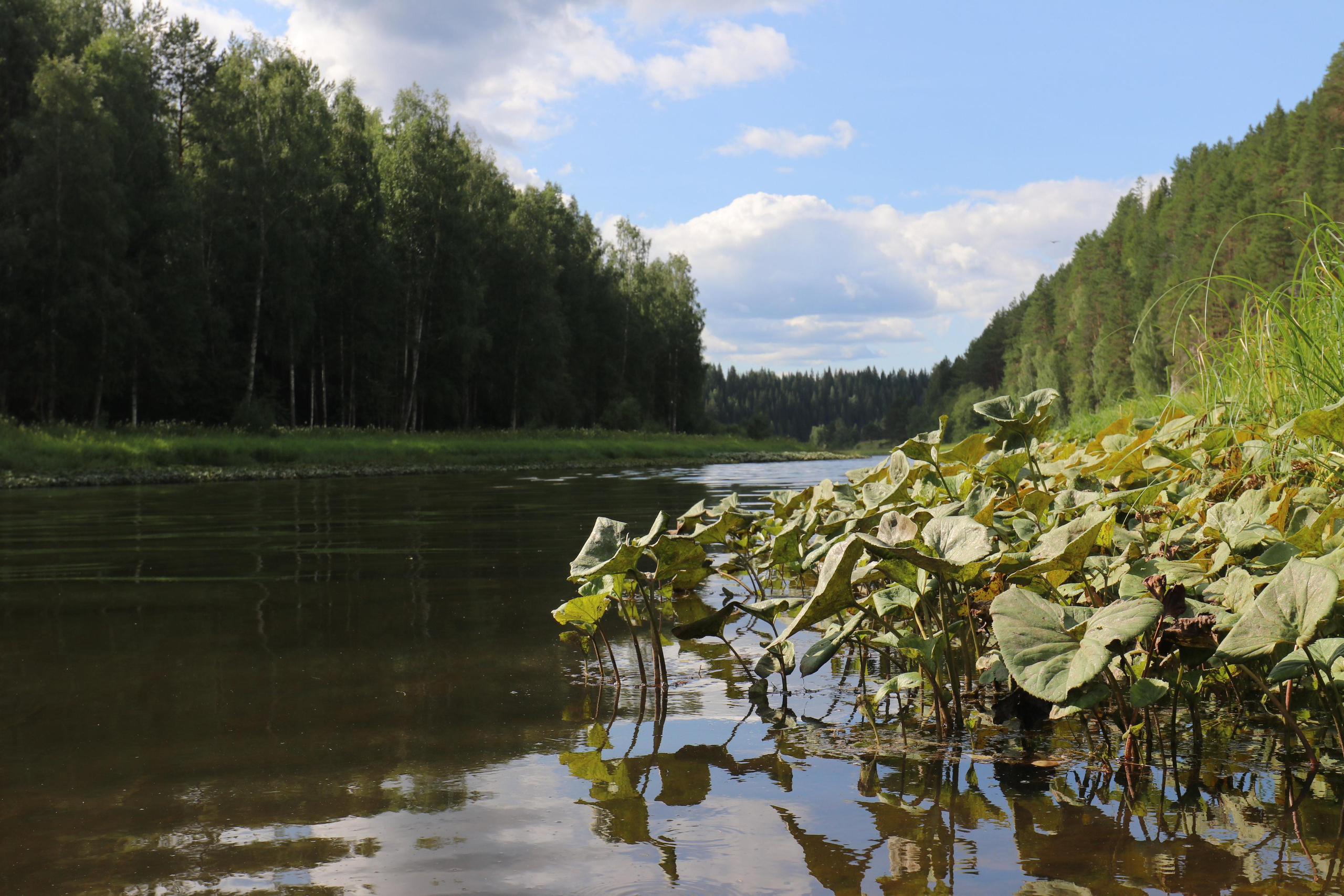 Сплав 2021. Участок от с. Чусовое до с. Ёква. Путешественник-фотограф из Санкт-Петербурга Татьяна Свистулина
