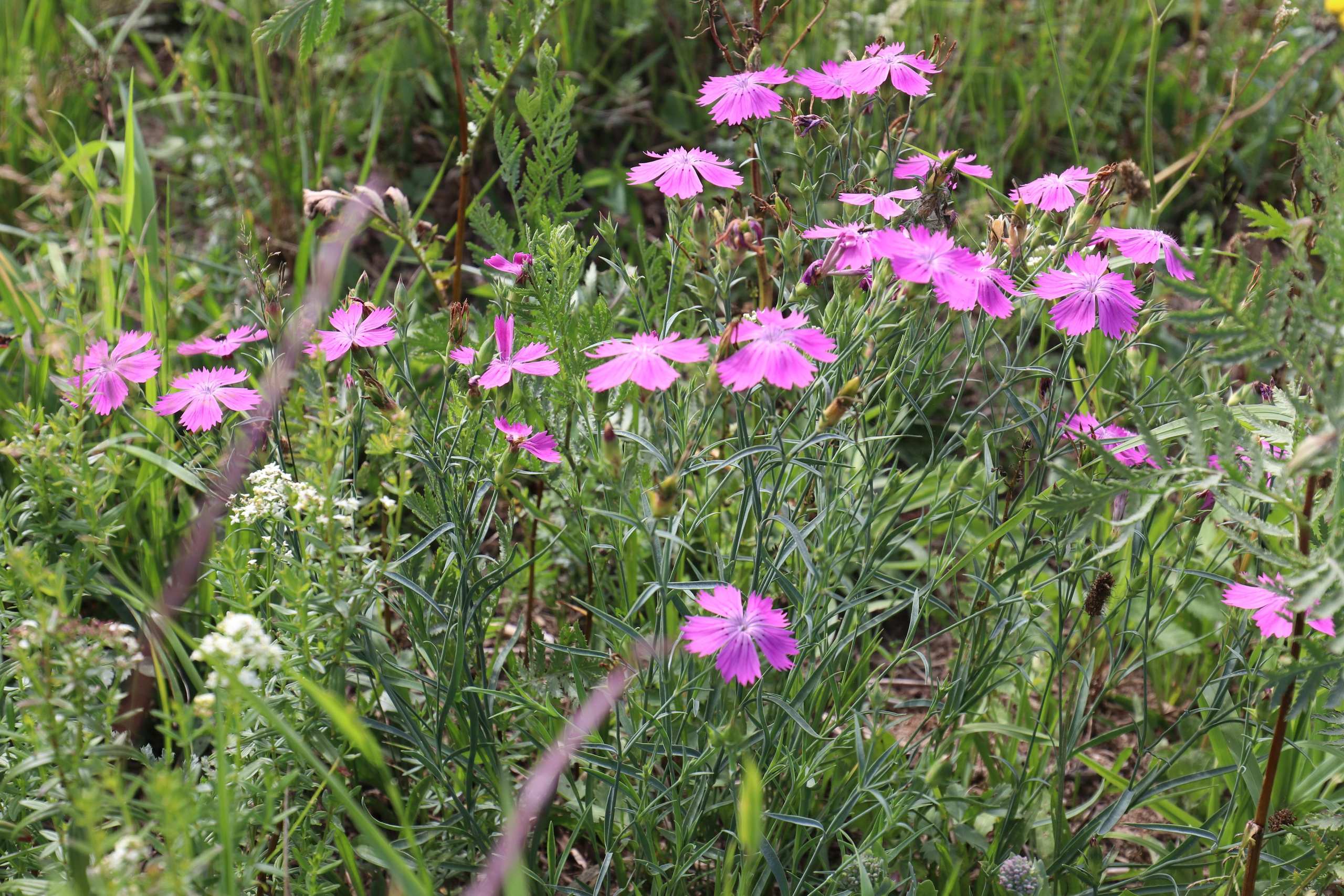 Сплав 2021. Участок от с. Чусовое до с. Ёква. Путешественник-фотограф из Санкт-Петербурга Татьяна Свистулина