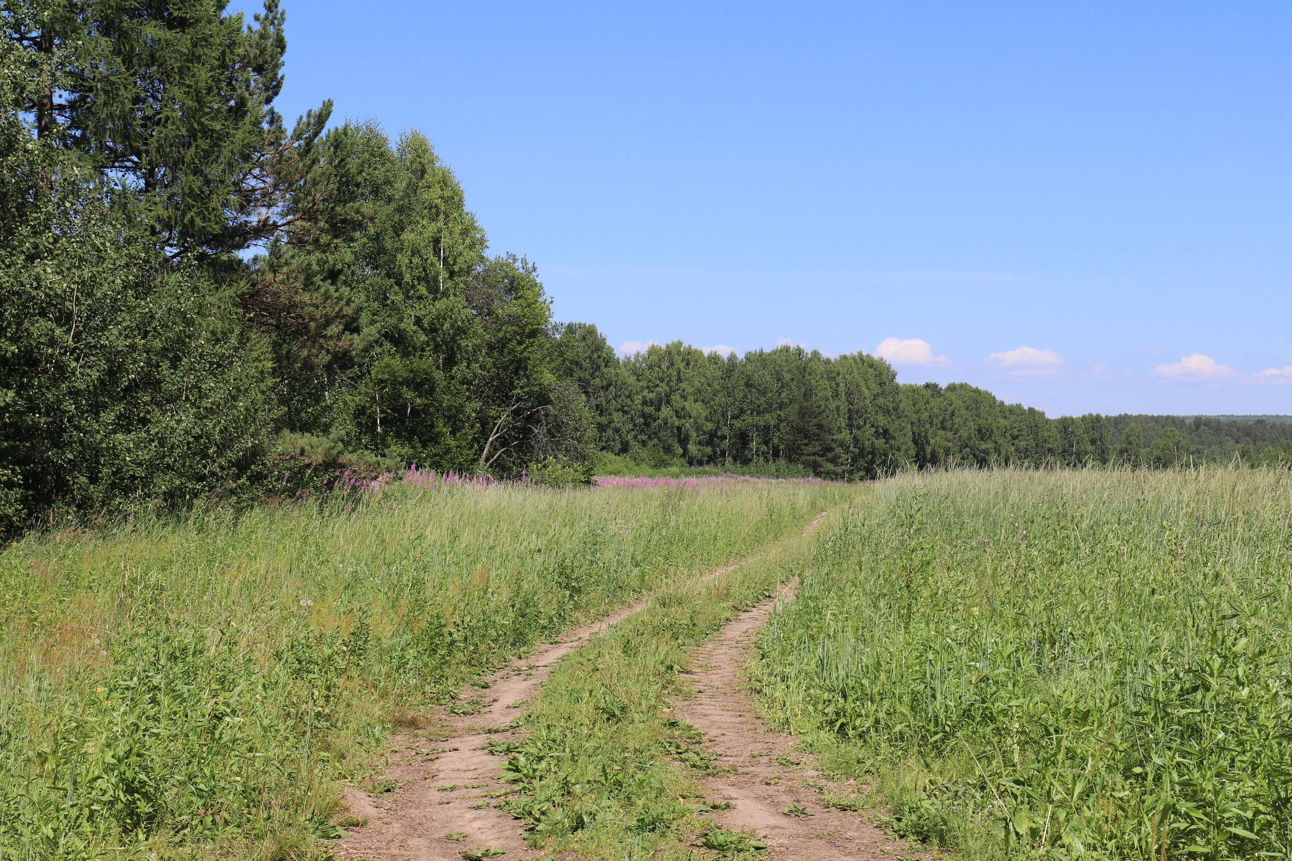 Сплав 2020. Участок от п. Слобода до п. Мартьяново. Путешественник-фотограф из Санкт-Петербурга Татьяна Свистулина