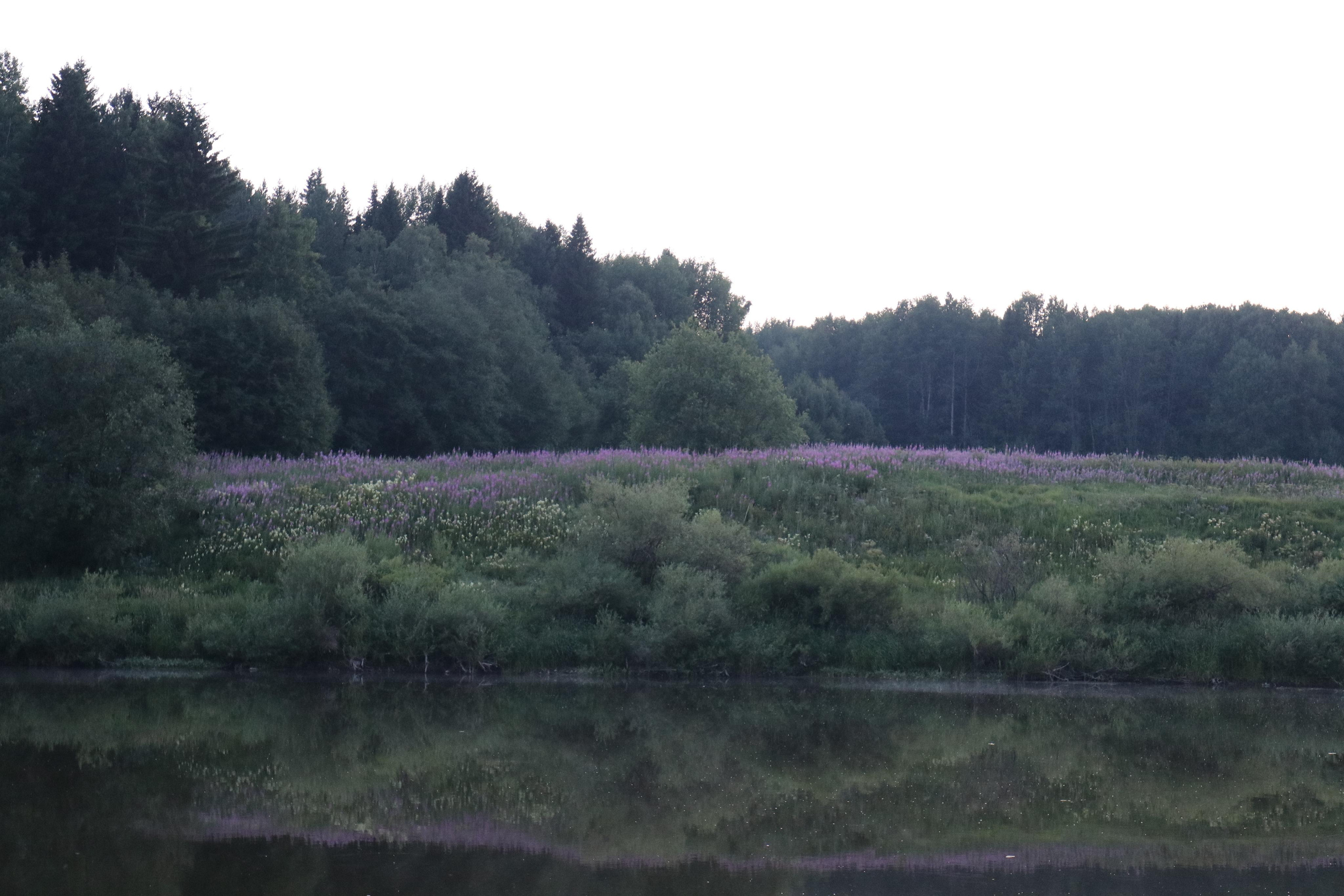 Сплав 2020. Участок от п. Слобода до п. Мартьяново. Путешественник-фотограф из Санкт-Петербурга Татьяна Свистулина