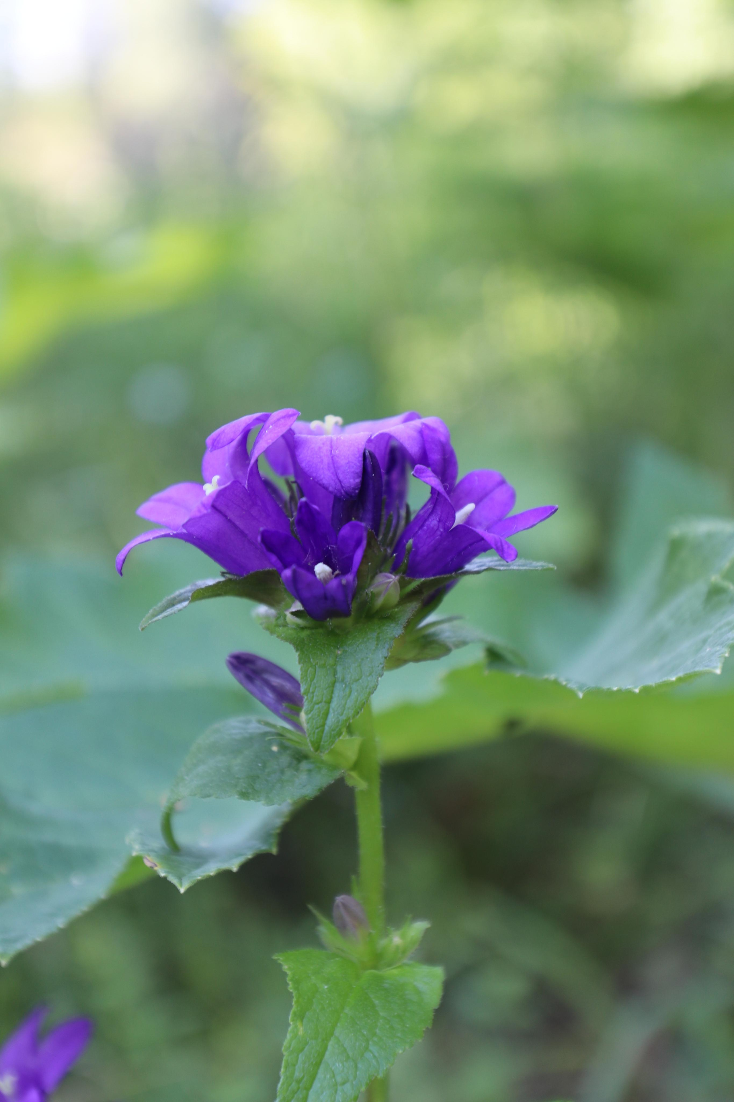 Сплав 2020. Участок от п. Слобода до п. Мартьяново. Путешественник-фотограф из Санкт-Петербурга Татьяна Свистулина