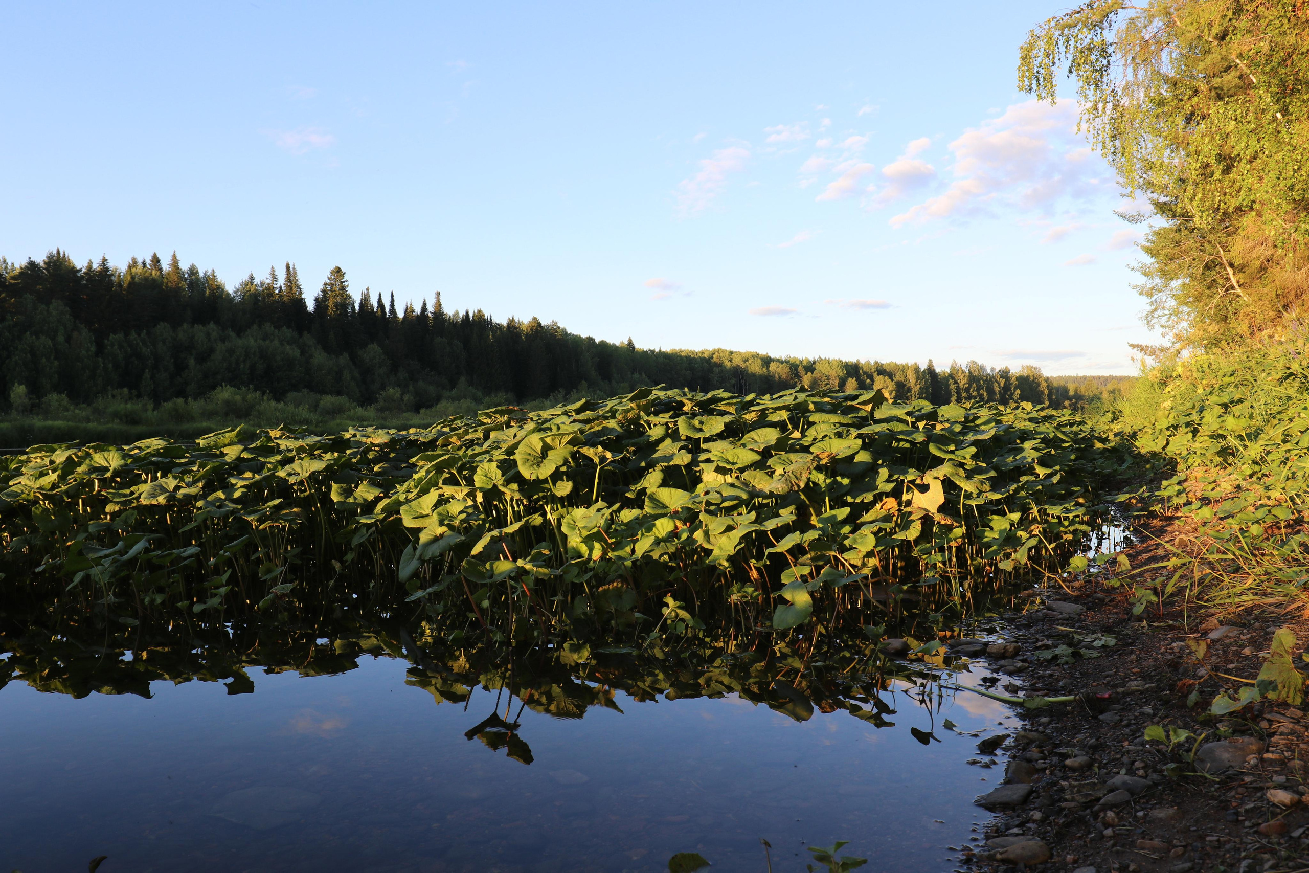 Сплав 2021. Участок от с. Чусовое до с. Ёква. Путешественник-фотограф из Санкт-Петербурга Татьяна Свистулина