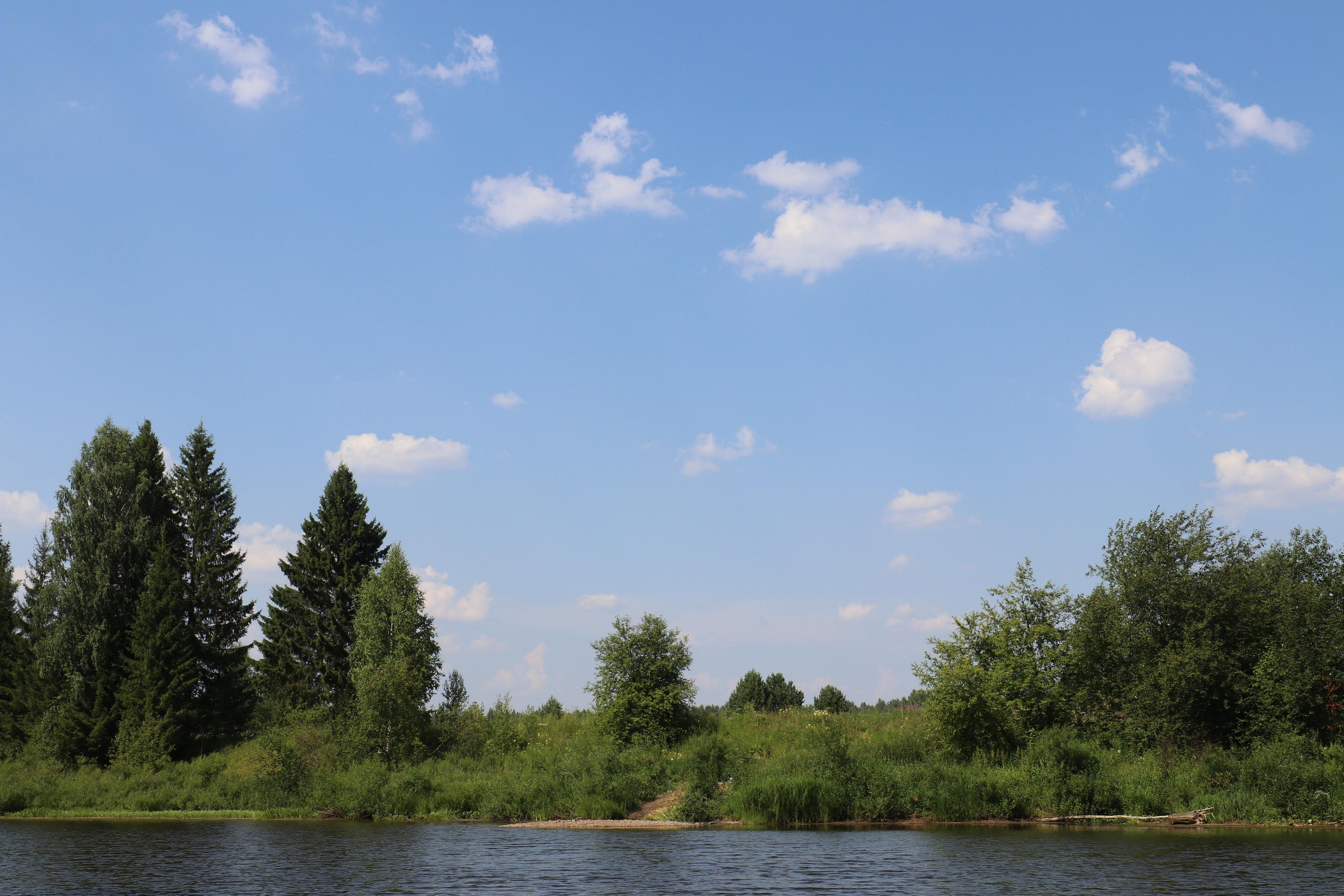 Сплав 2020. Участок от п. Слобода до п. Мартьяново. Путешественник-фотограф из Санкт-Петербурга Татьяна Свистулина