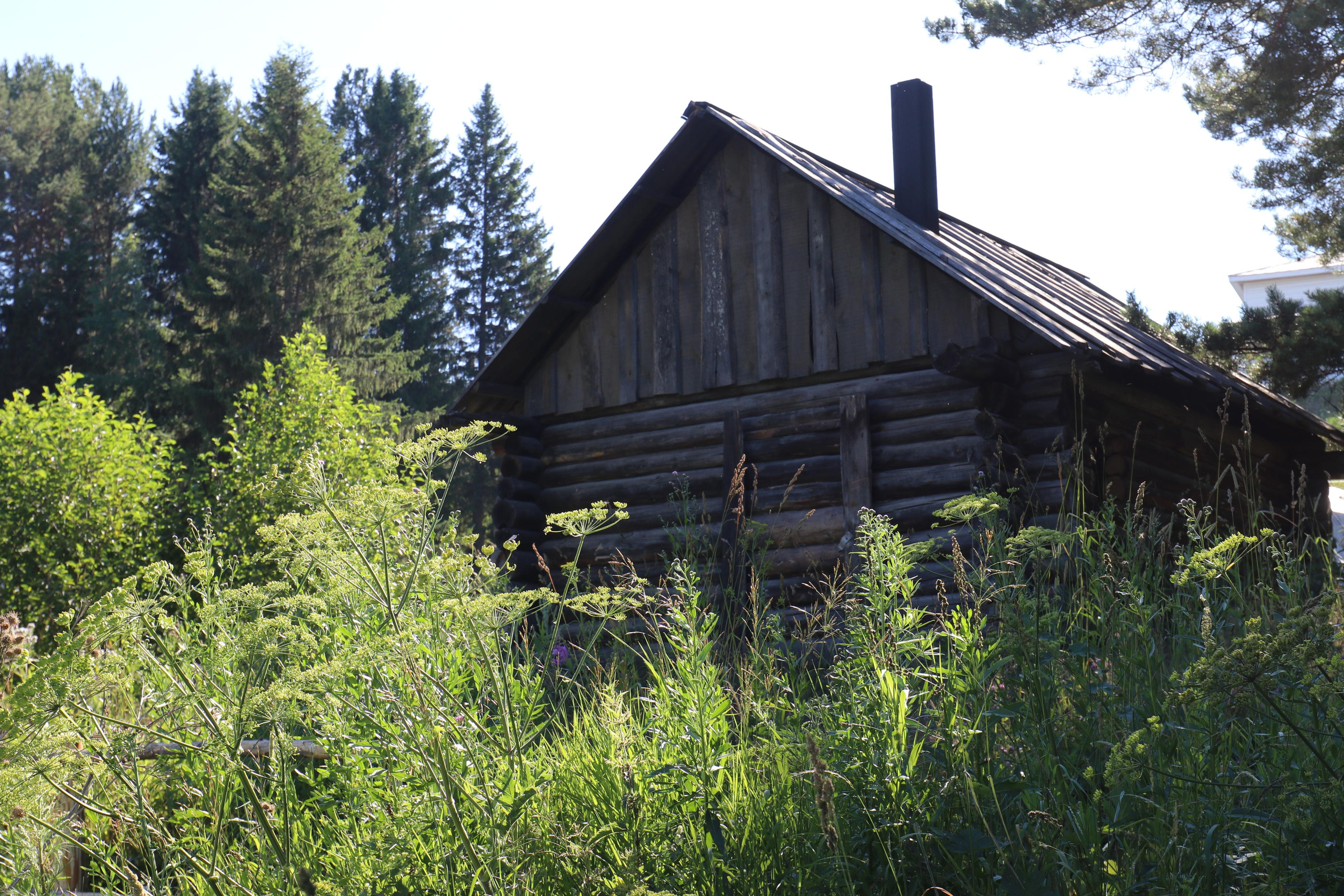 Сплав 2020. Участок от п. Слобода до п. Мартьяново. Путешественник-фотограф из Санкт-Петербурга Татьяна Свистулина