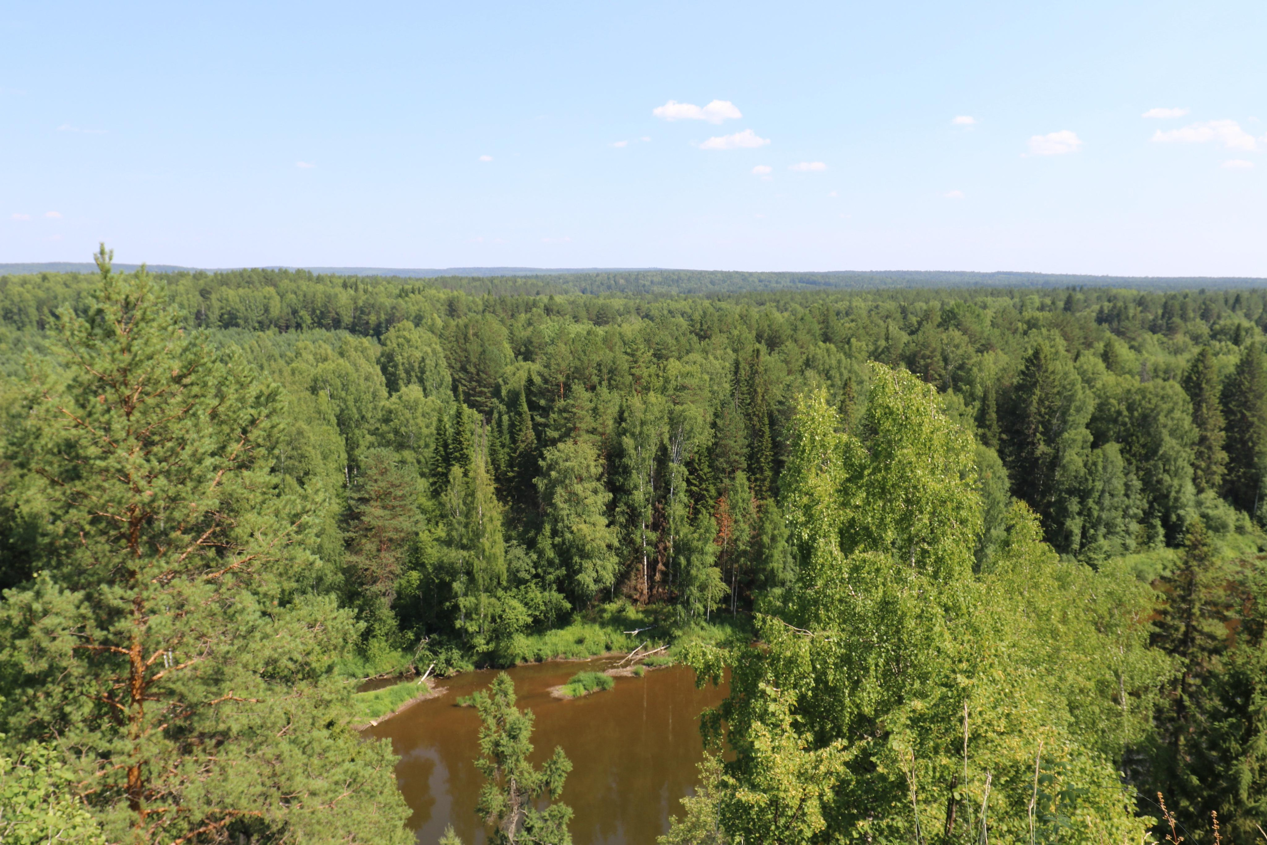 Сплав 2020. Участок от п. Слобода до п. Мартьяново. Путешественник-фотограф из Санкт-Петербурга Татьяна Свистулина