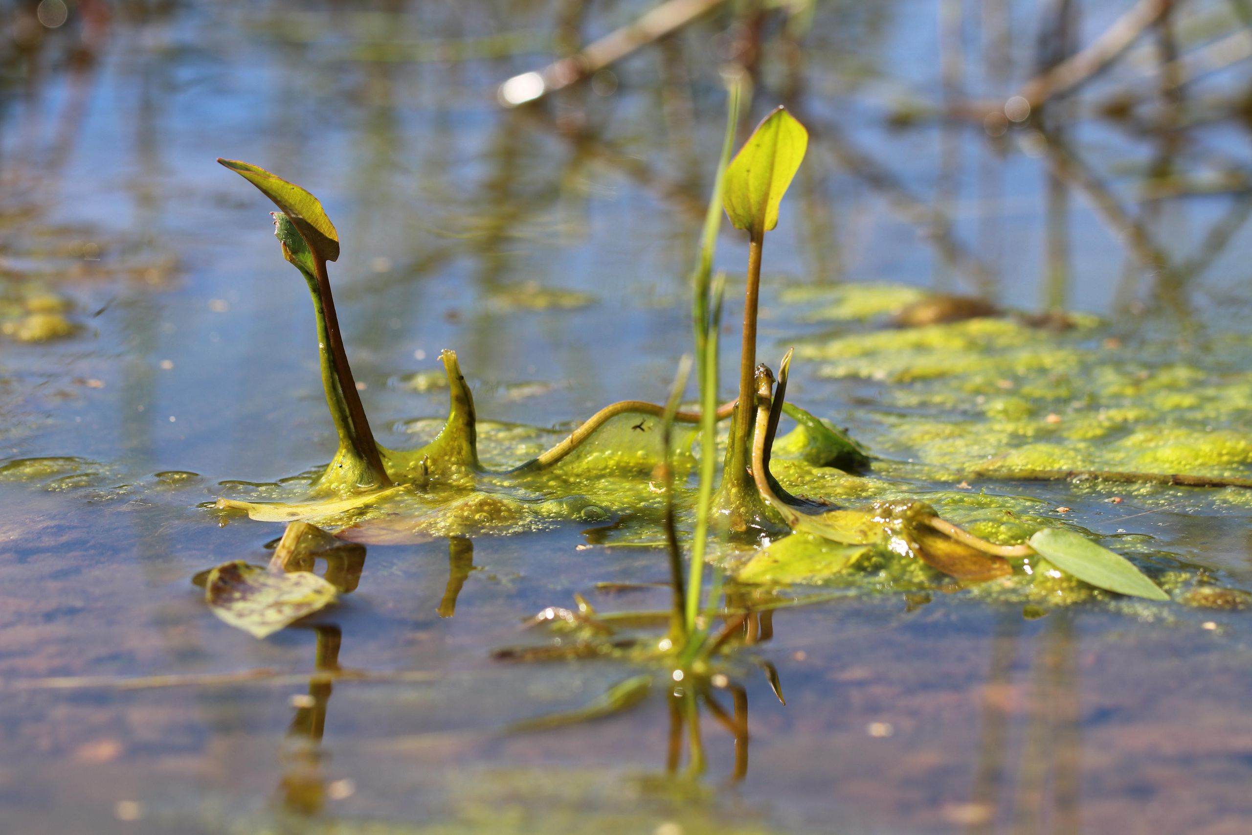 Сплав 2021. Участок от с. Чусовое до с. Ёква. Путешественник-фотограф из Санкт-Петербурга Татьяна Свистулина