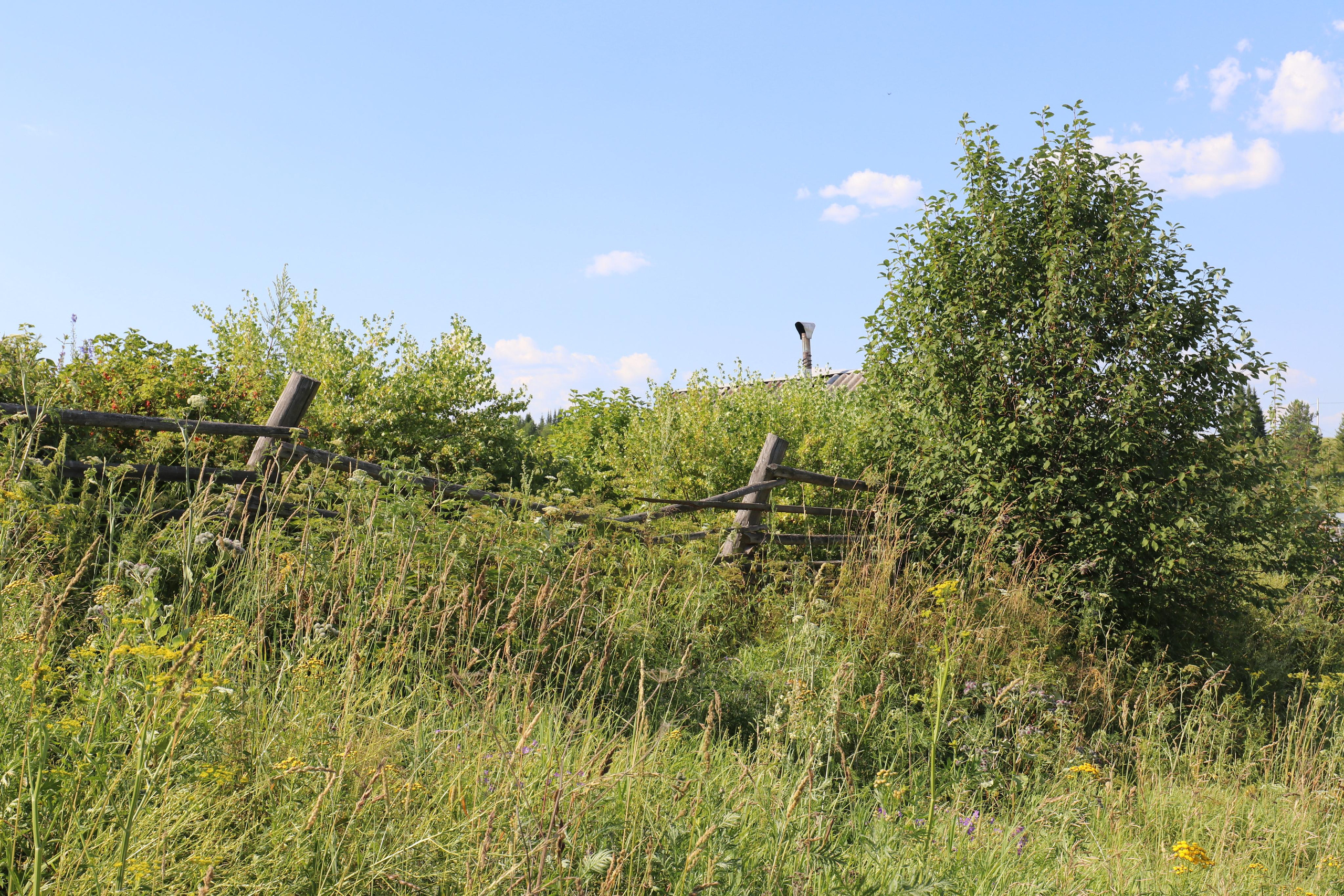 Сплав 2020. Участок от п. Слобода до п. Мартьяново. Путешественник-фотограф из Санкт-Петербурга Татьяна Свистулина