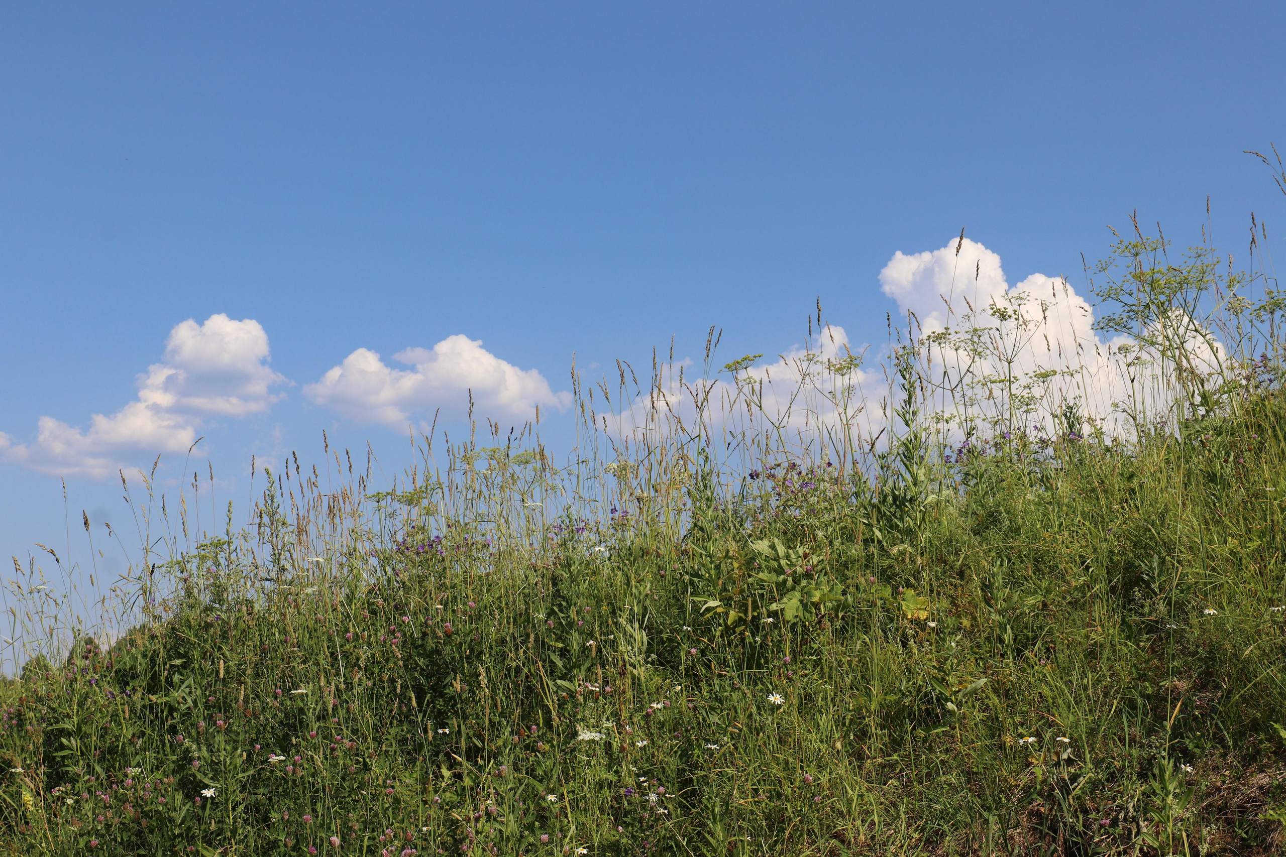 Сплав 2020. Участок от п. Слобода до п. Мартьяново. Путешественник-фотограф из Санкт-Петербурга Татьяна Свистулина