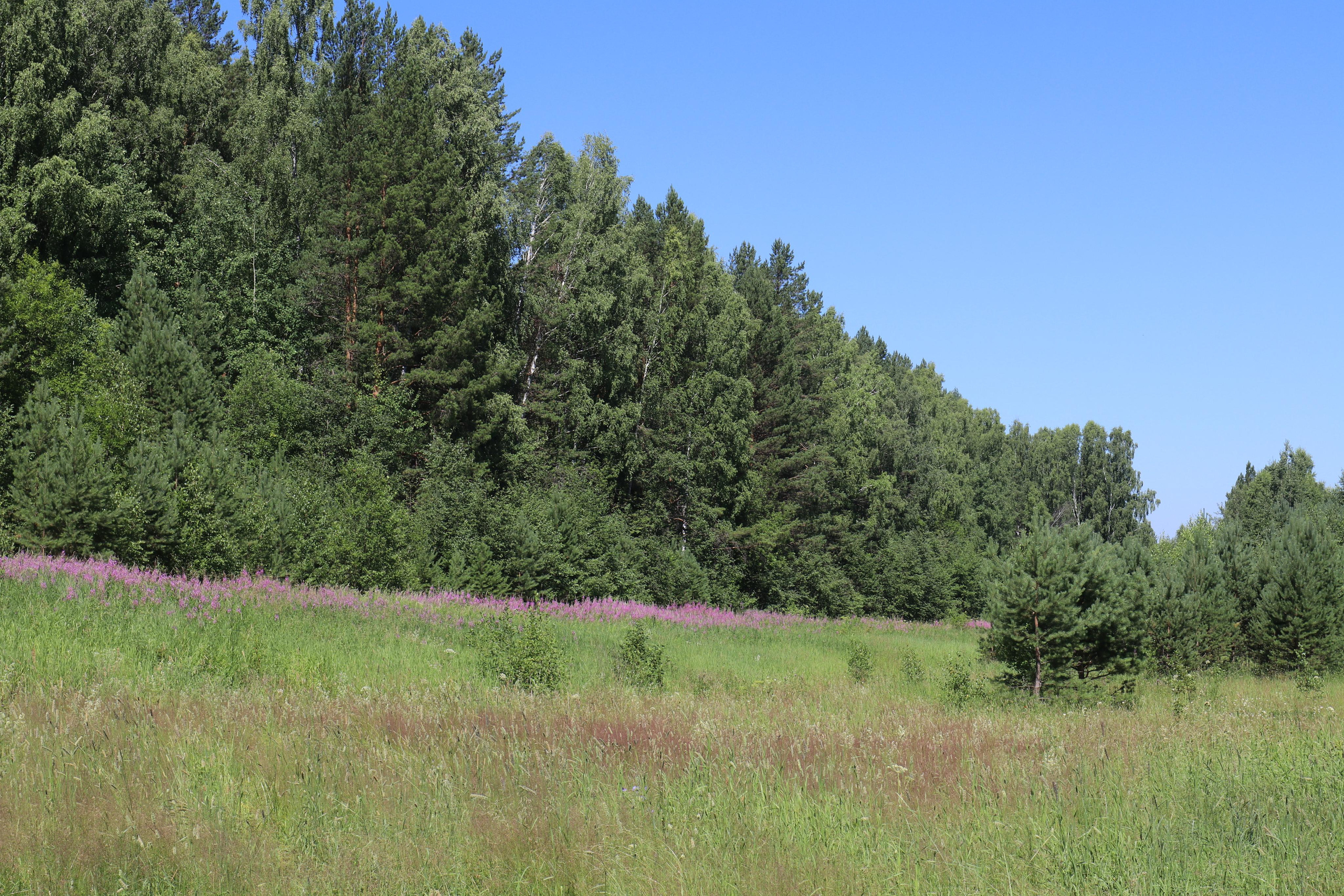 Сплав 2020. Участок от п. Слобода до п. Мартьяново. Путешественник-фотограф из Санкт-Петербурга Татьяна Свистулина