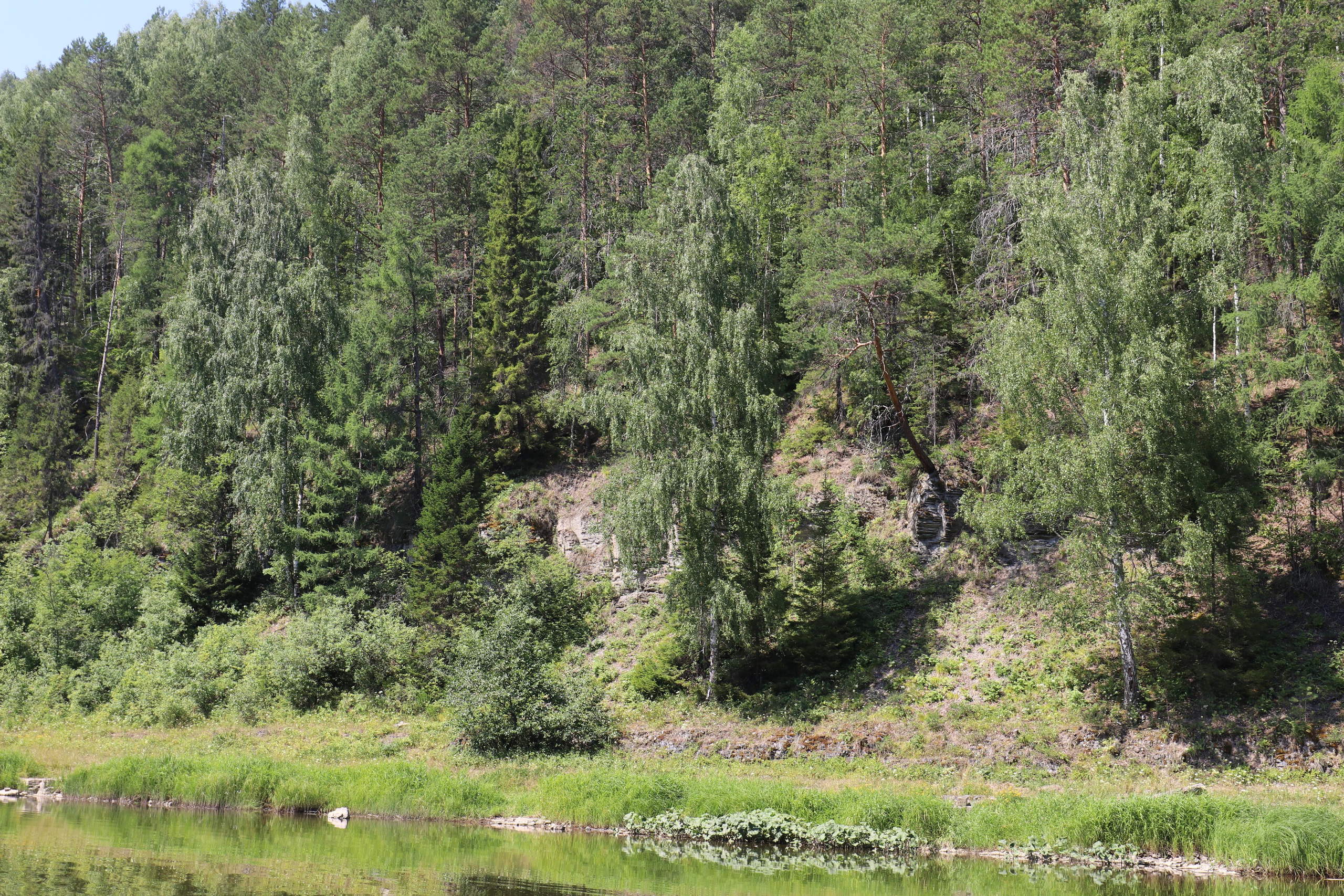 Сплав 2020. Участок от п. Слобода до п. Мартьяново. Путешественник-фотограф из Санкт-Петербурга Татьяна Свистулина