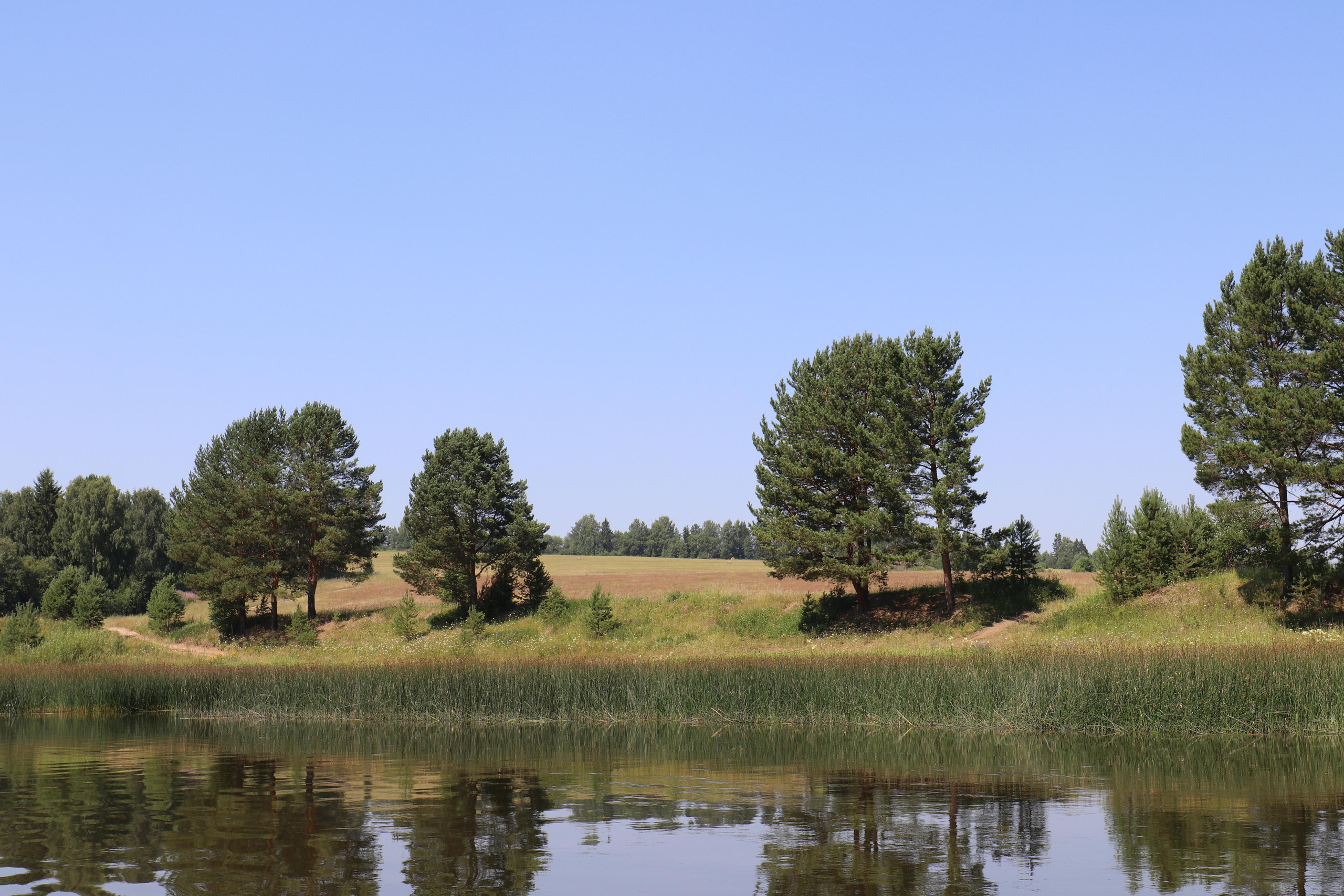 Сплав 2020. Участок от п. Слобода до п. Мартьяново. Путешественник-фотограф из Санкт-Петербурга Татьяна Свистулина