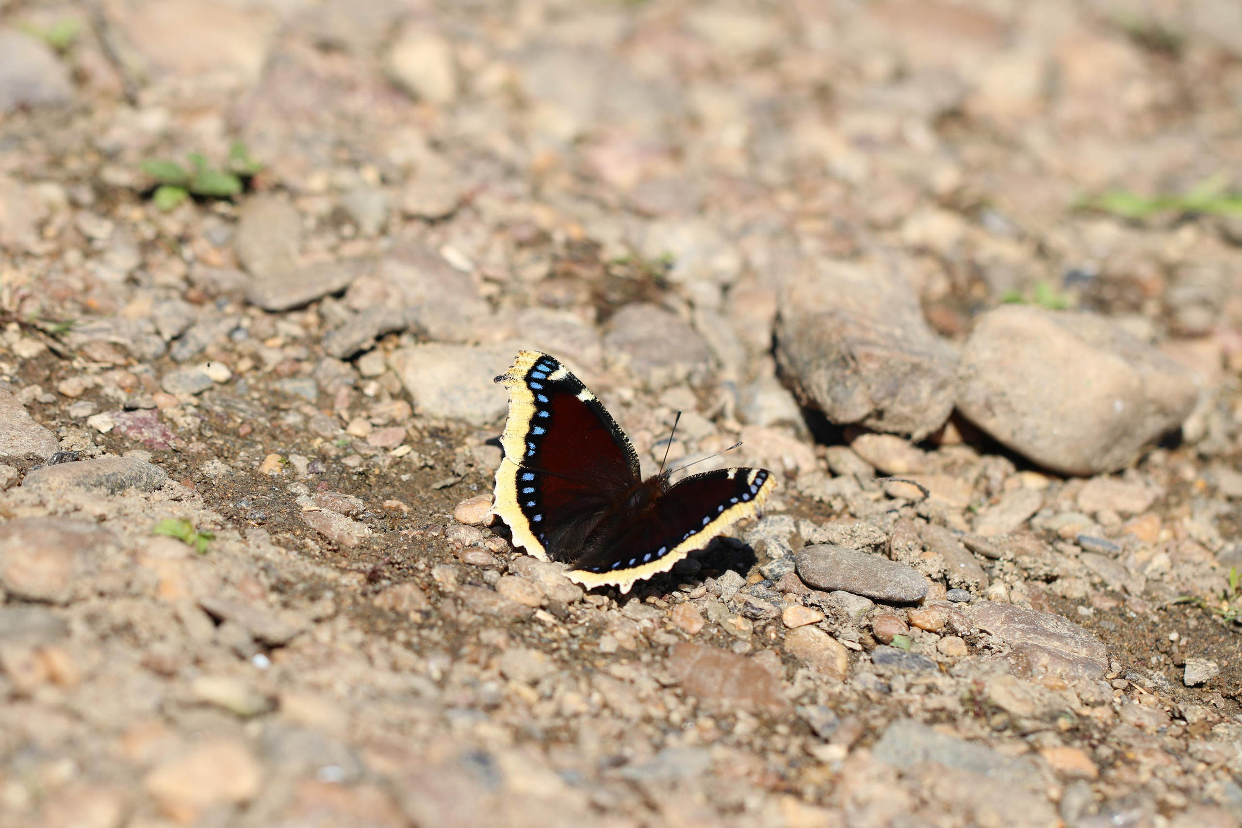 Сплав 2021. Участок от с. Чусовое до с. Ёква. Путешественник-фотограф из Санкт-Петербурга Татьяна Свистулина