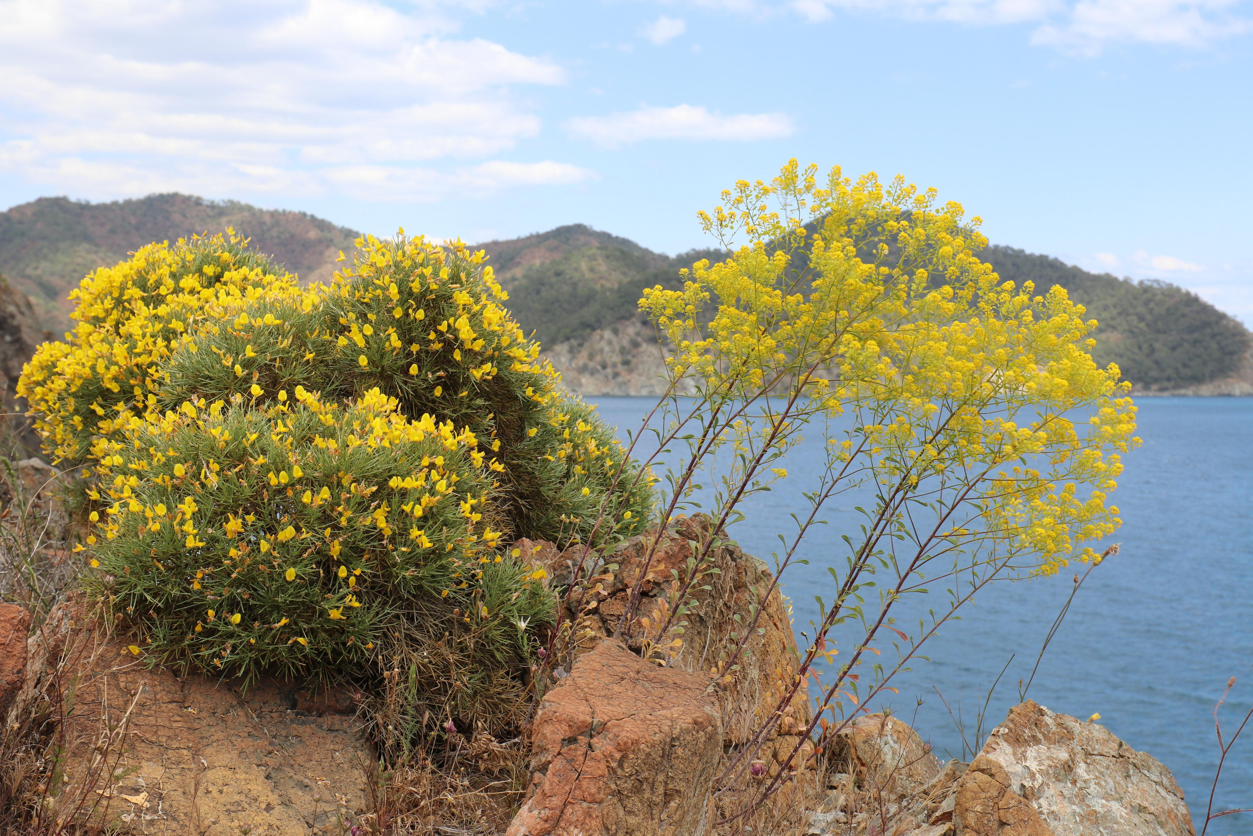 Турция. Путешественник-фотограф из Санкт-Петербурга Татьяна Свистулина