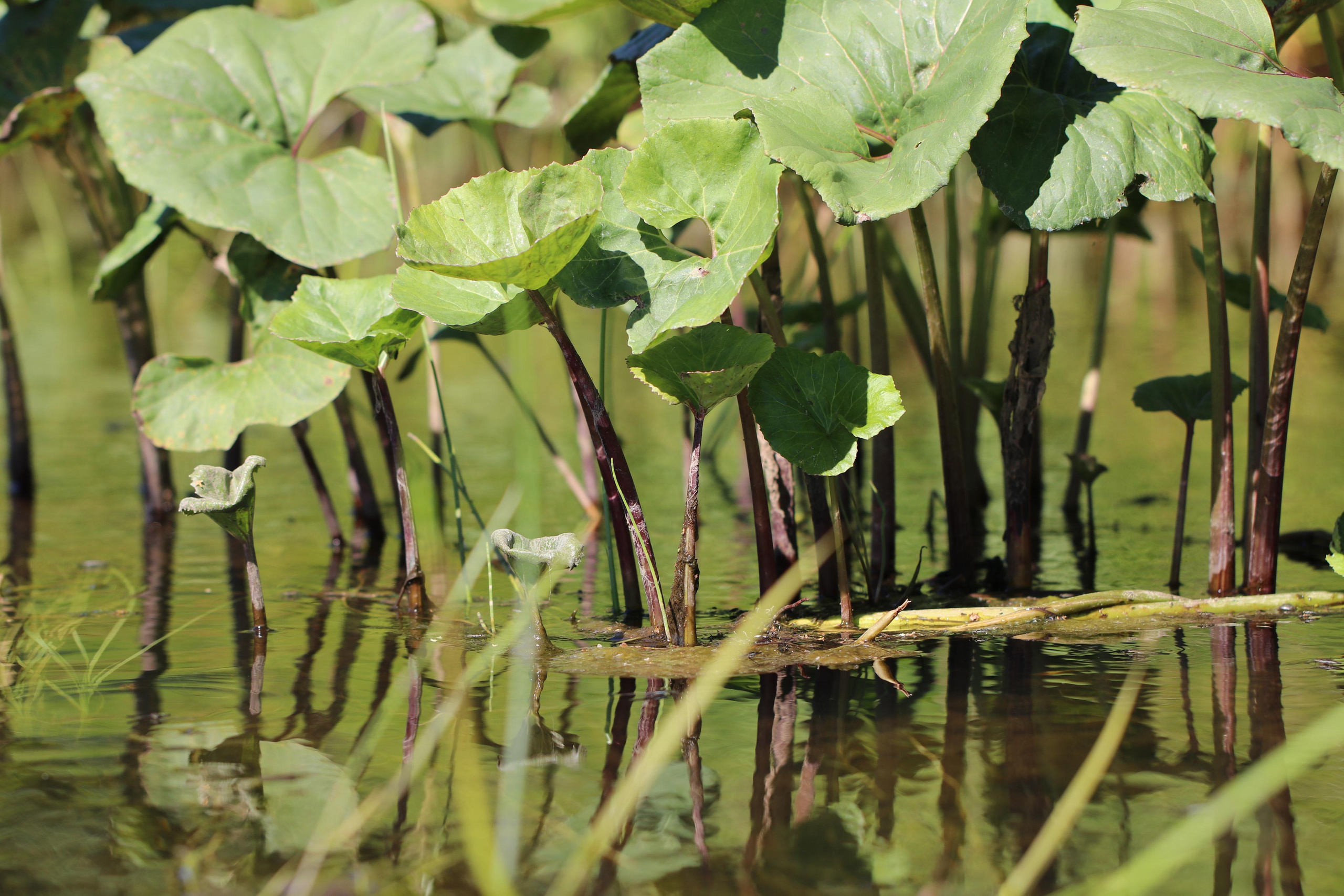 Сплав 2021. Участок от с. Чусовое до с. Ёква. Путешественник-фотограф из Санкт-Петербурга Татьяна Свистулина