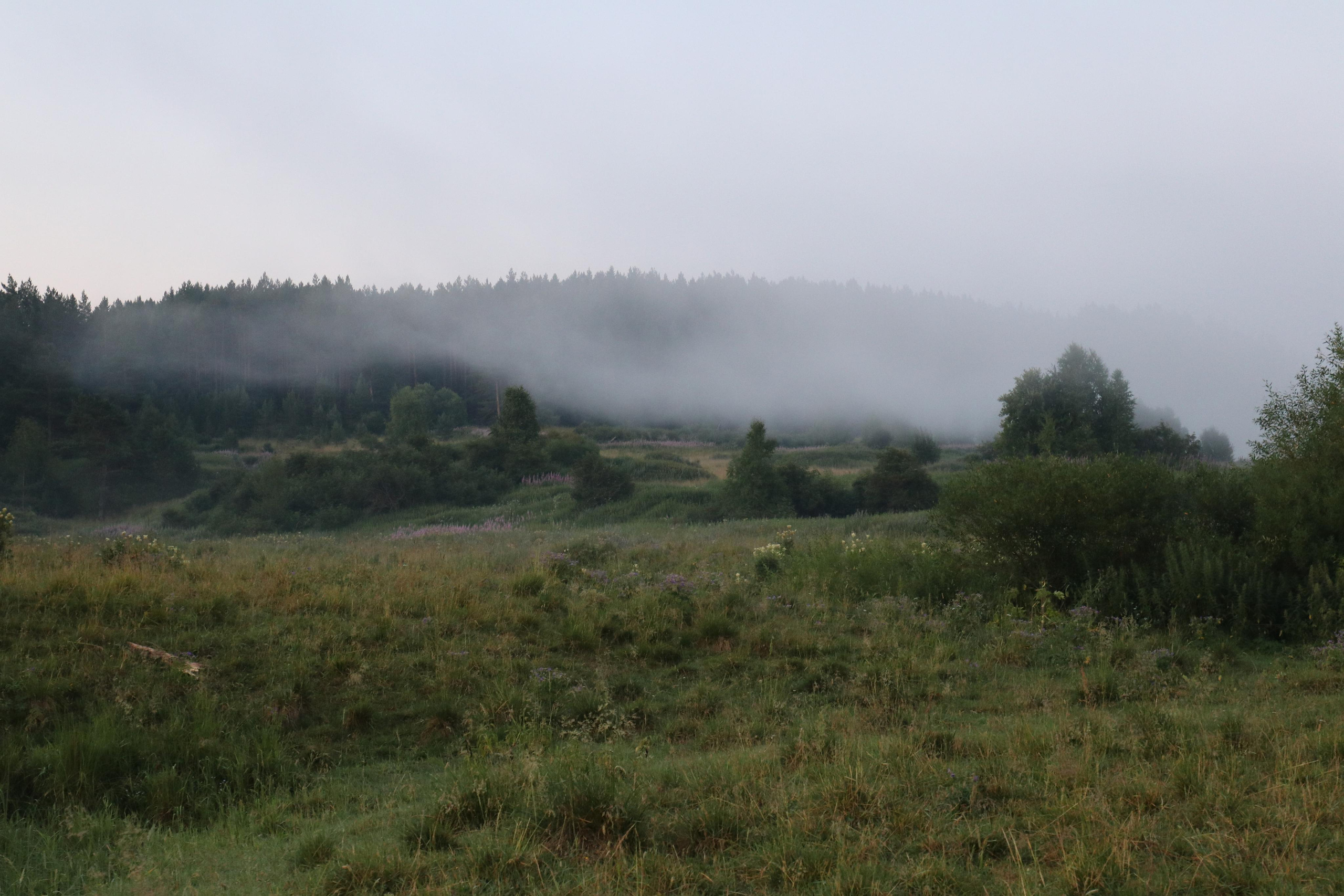 Сплав 2020. Участок от п. Слобода до п. Мартьяново. Путешественник-фотограф из Санкт-Петербурга Татьяна Свистулина