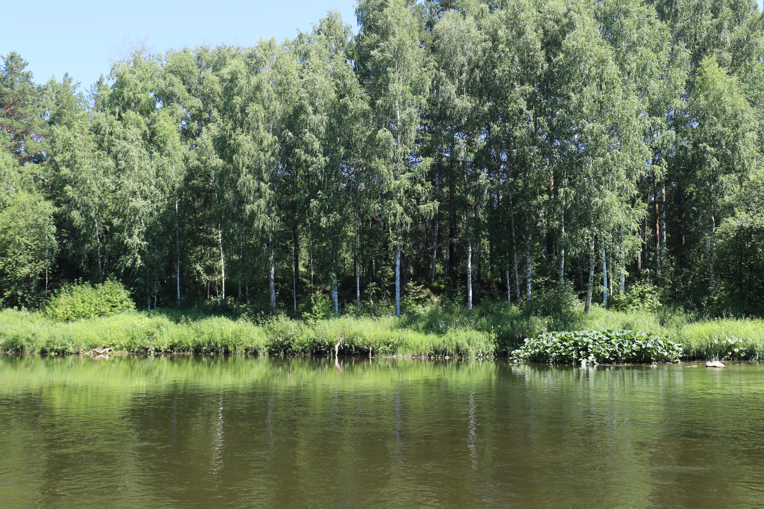 Сплав 2020. Участок от п. Слобода до п. Мартьяново. Путешественник-фотограф из Санкт-Петербурга Татьяна Свистулина