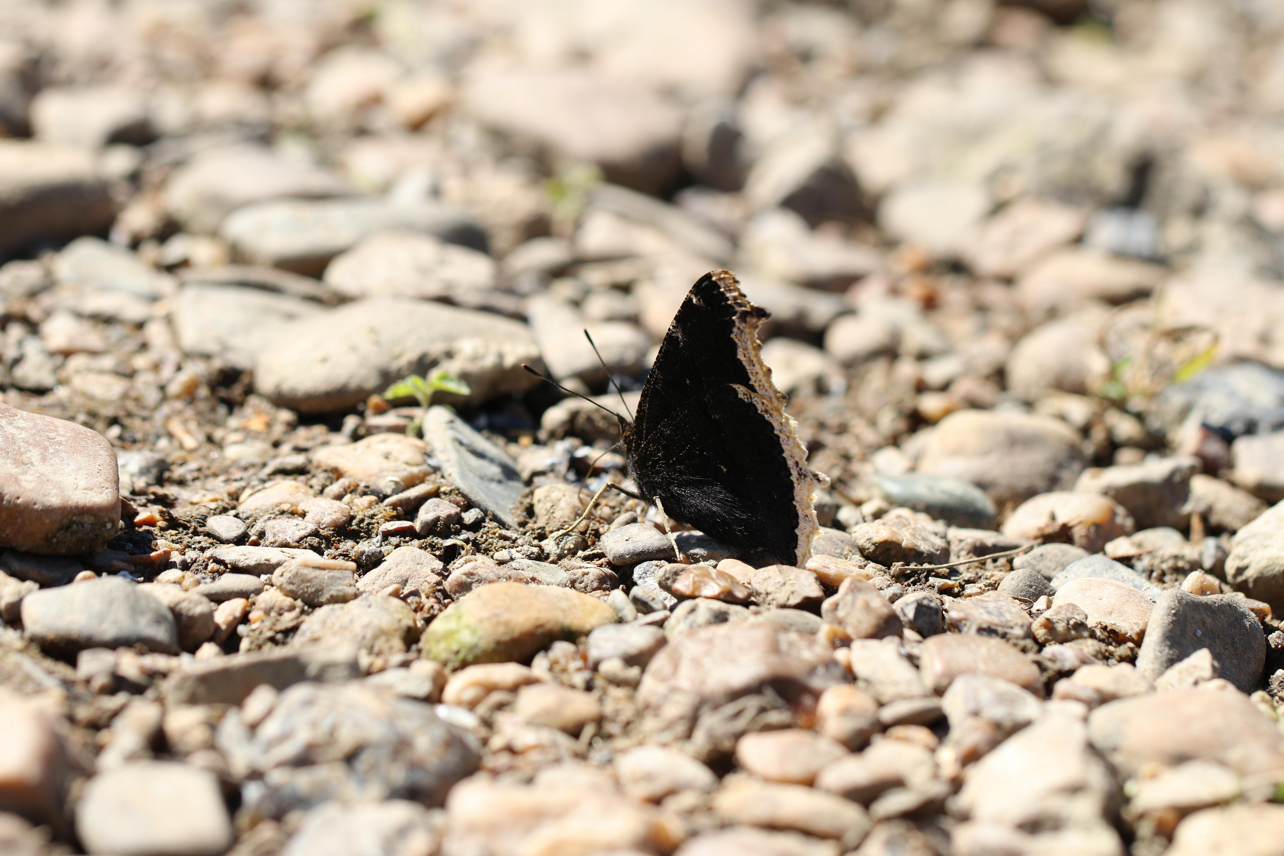 Сплав 2021. Участок от с. Чусовое до с. Ёква. Путешественник-фотограф из Санкт-Петербурга Татьяна Свистулина