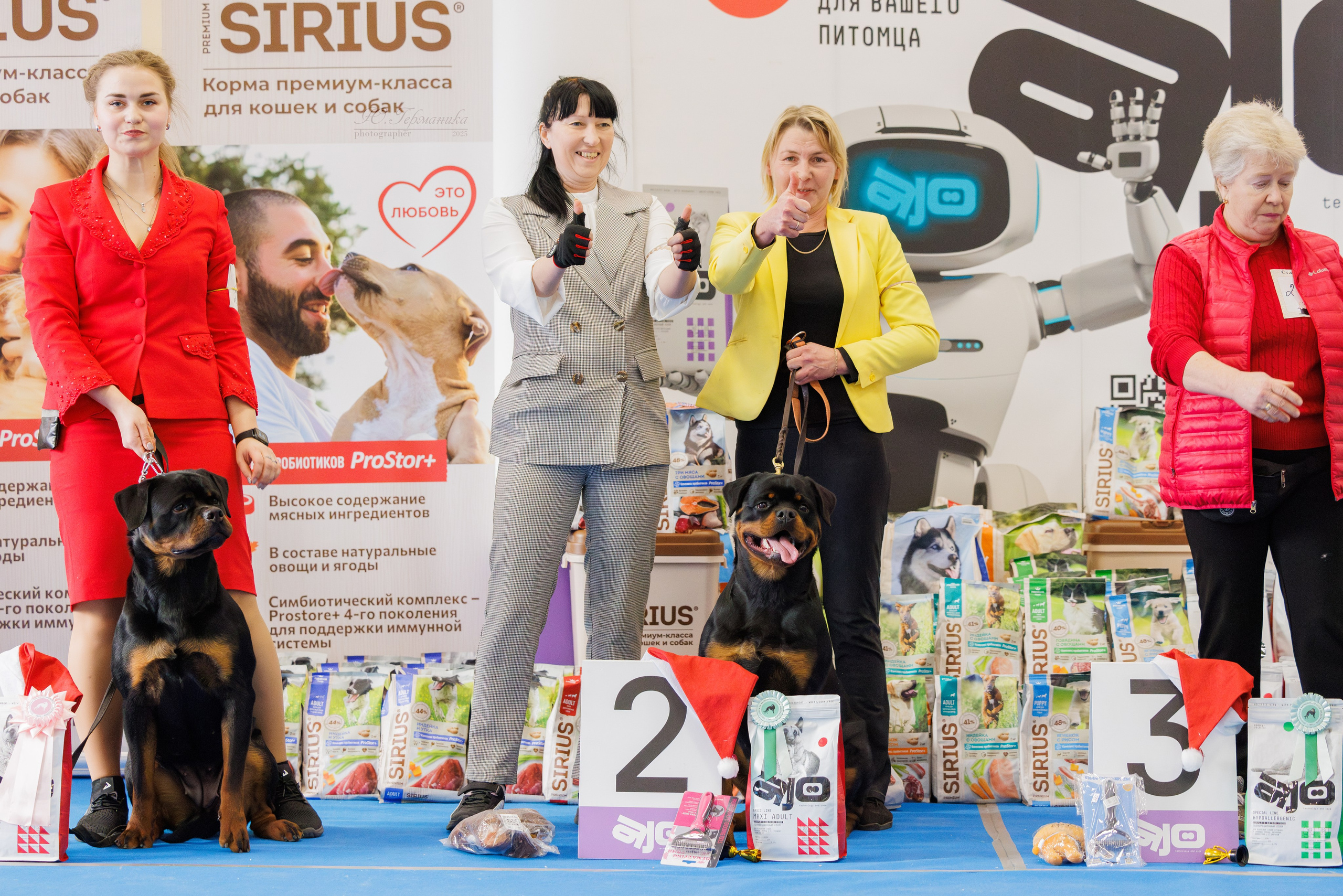 Питер ротвейлеры 18.01,Крокус 19.01.2025. Фотограф-анималист Юлия Германика