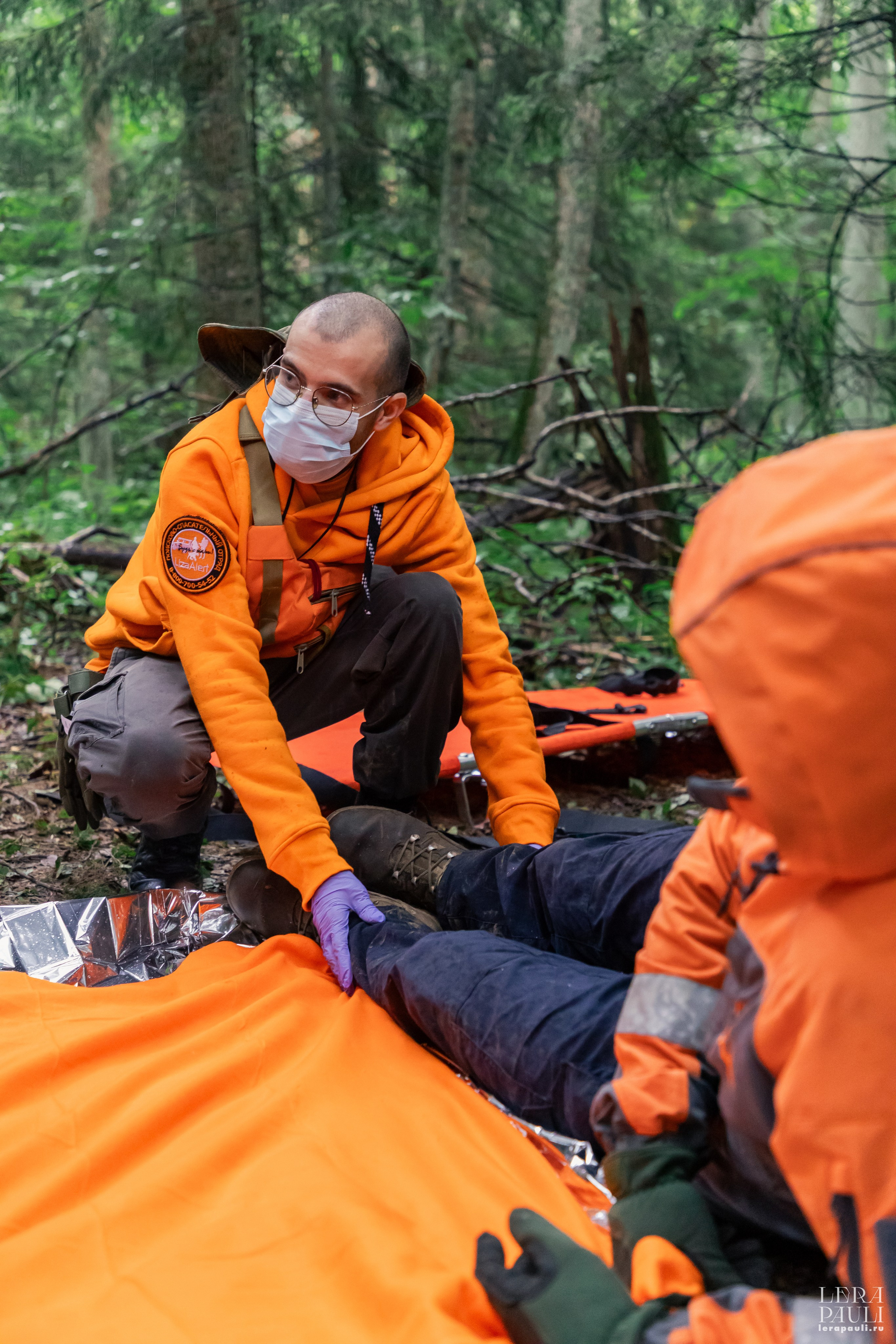 ДПСО «ЛизаАлерт». Главная