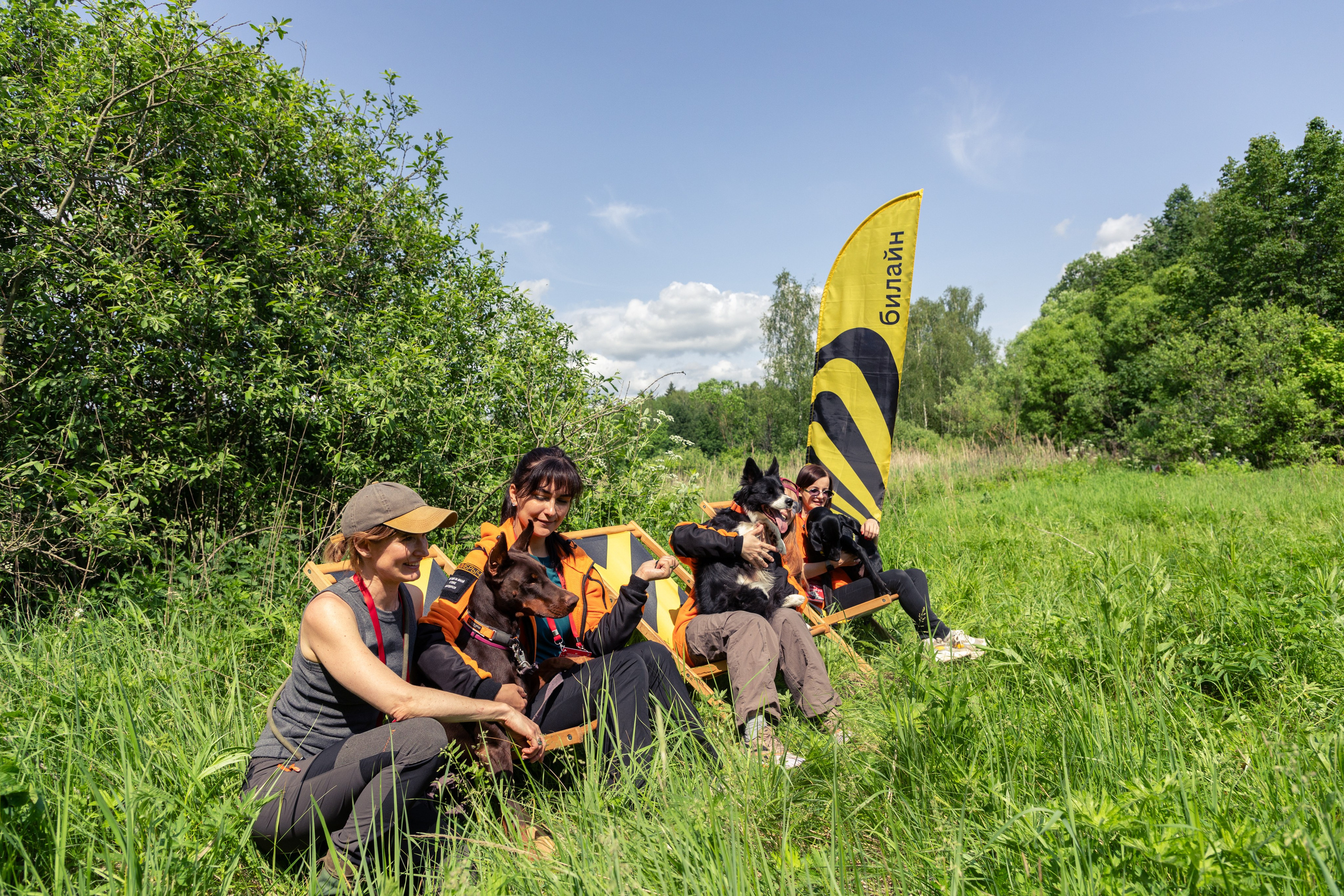 ДПСО «ЛизаАлерт». Главная