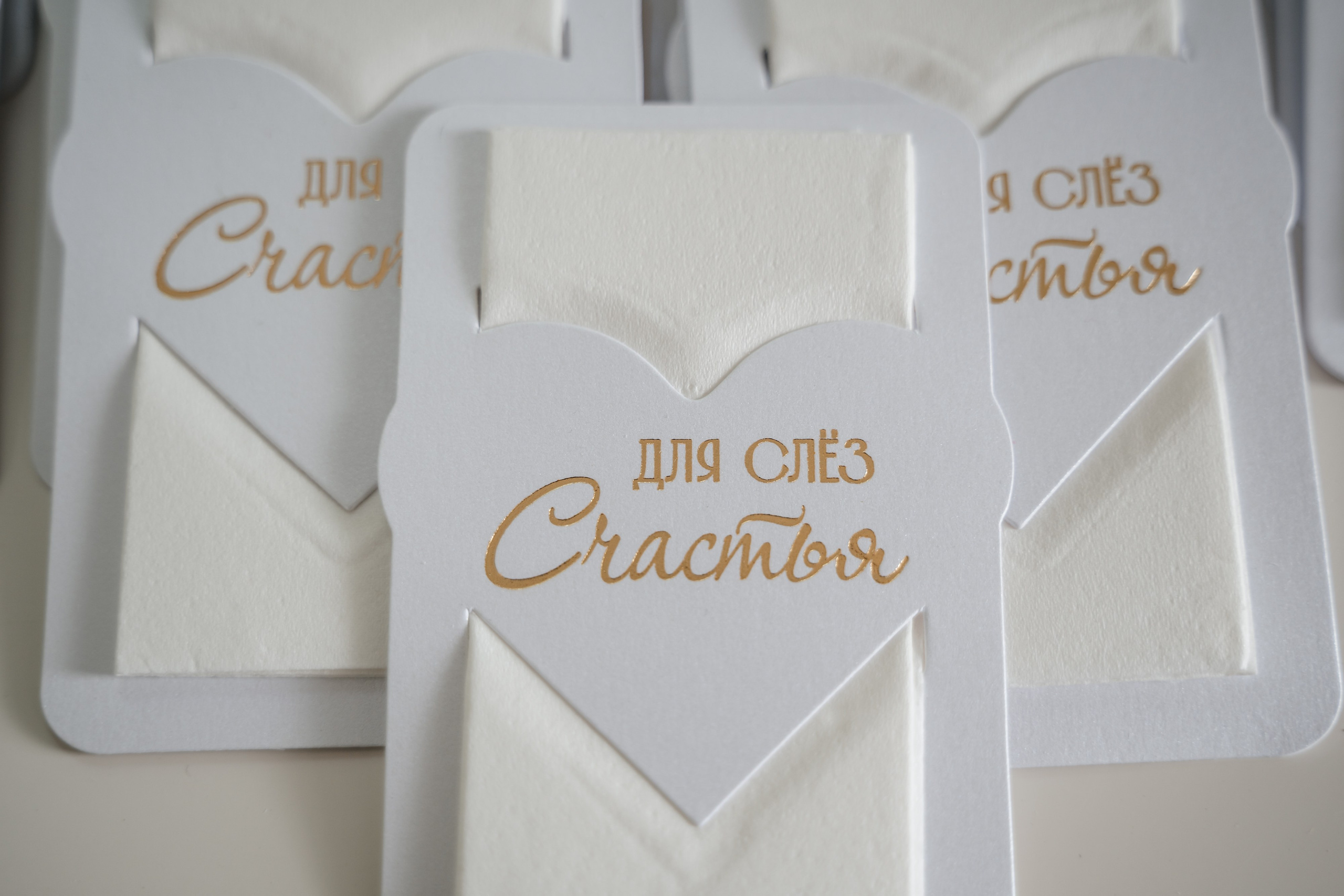 Роман и Полина. Свадебная  съемка на Алтае