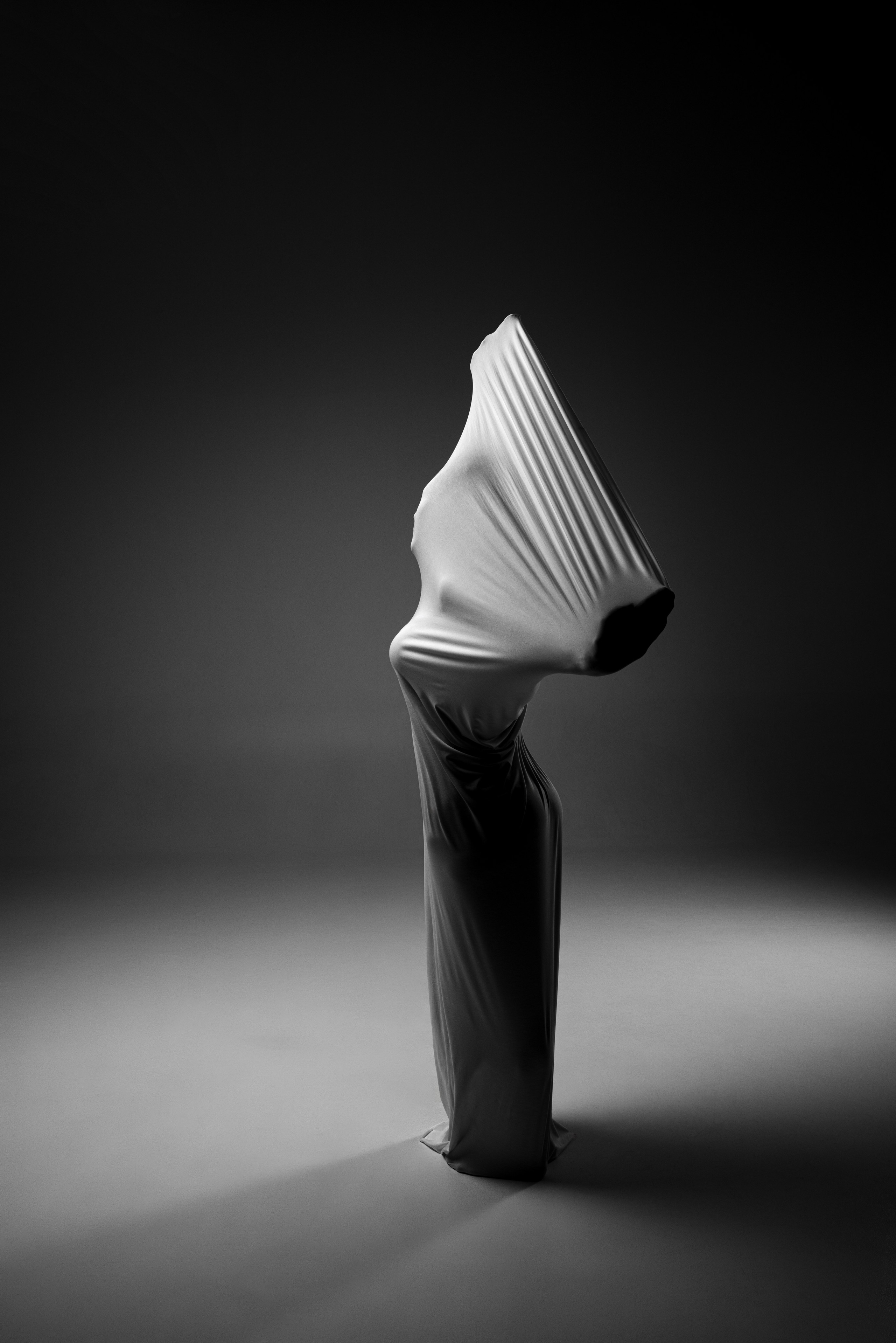 Фотографические скульптуры