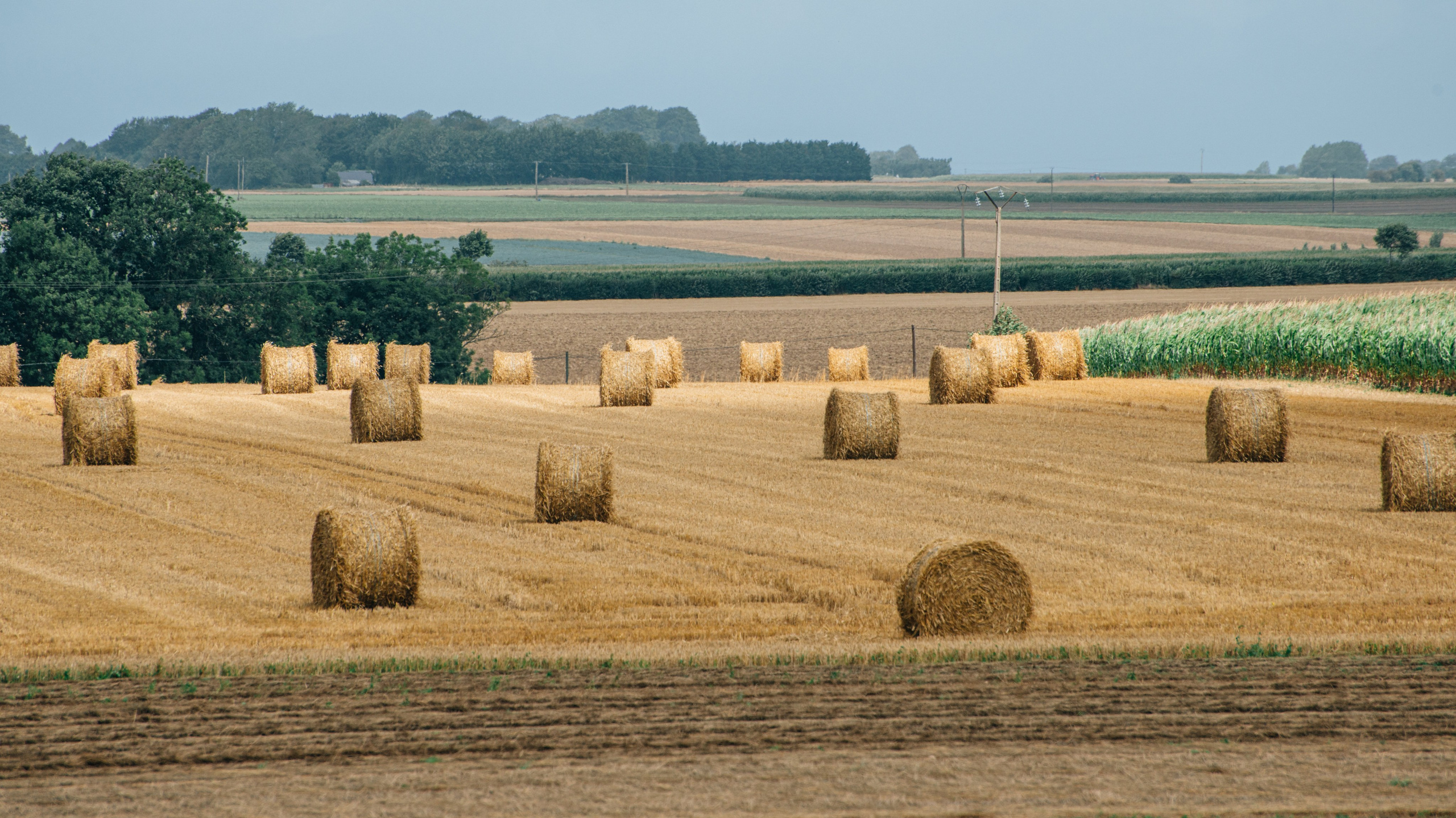 Франция. Фотографии Дмитрия Захаренко