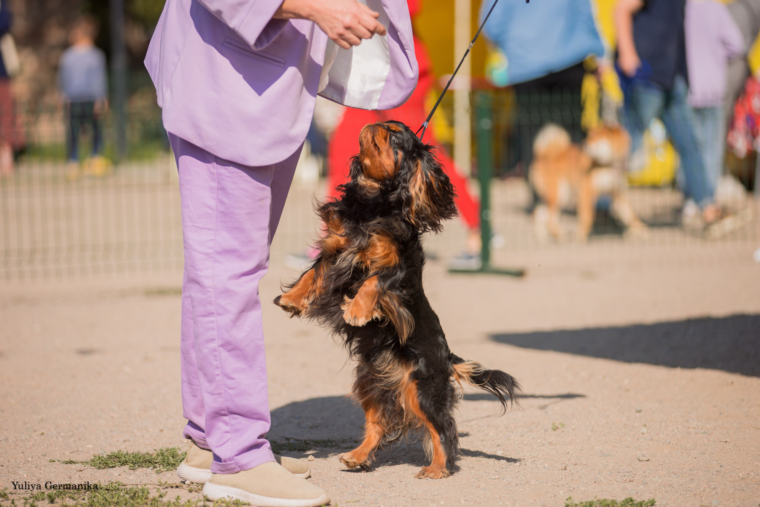 Бишкек 29.09-01.10.2023. Фотограф-анималист Юлия Германика