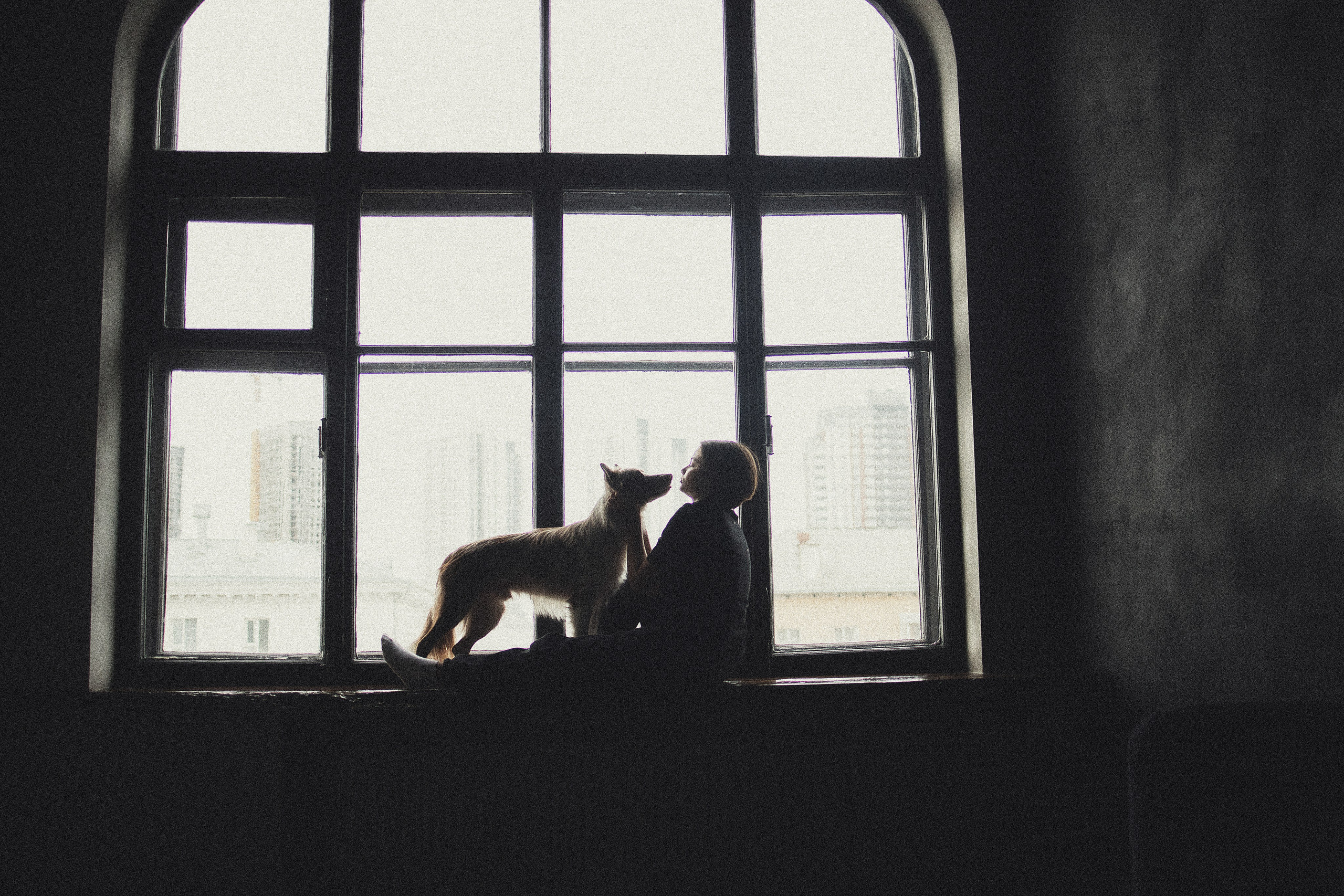 Портфолио. Фотограф-анималист в Екатеринбурге Марина Шишкина